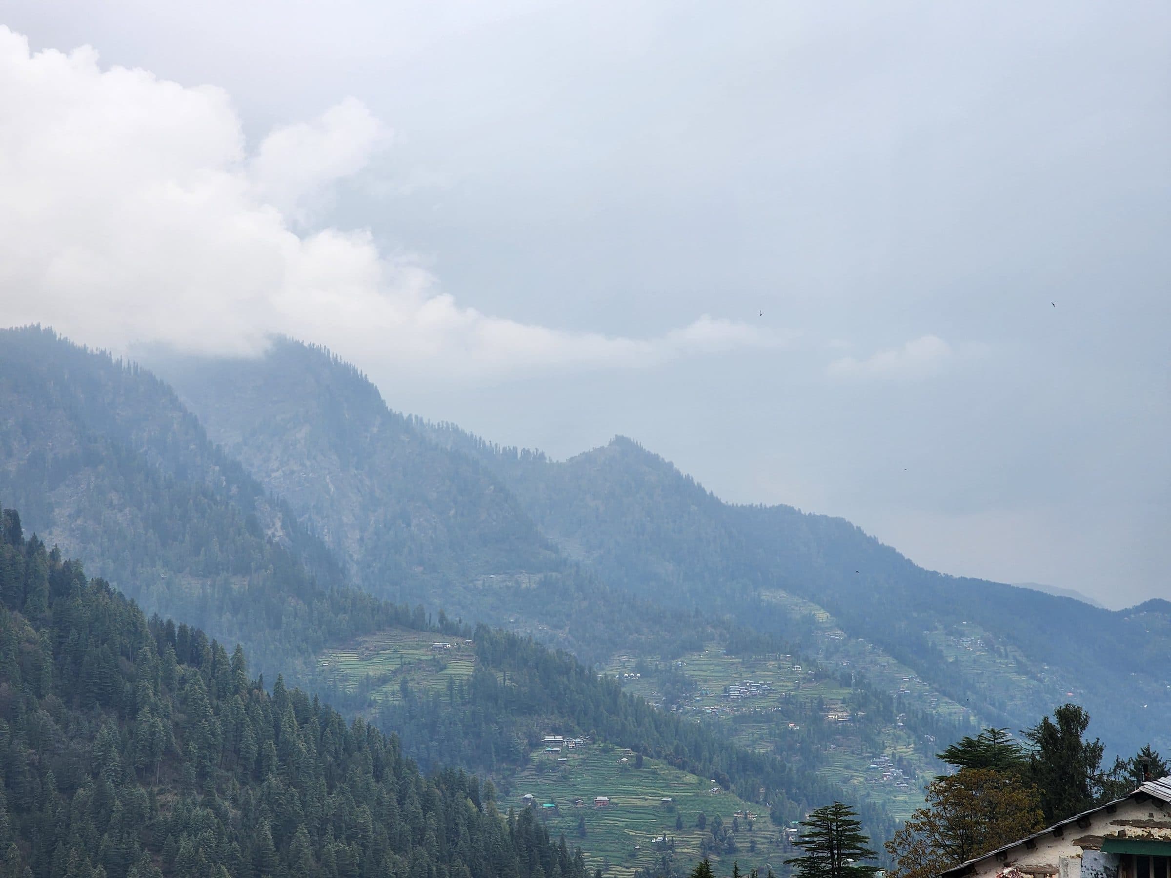 What the Weather at Jalori Pass Really Means for Your Jibhi Trip