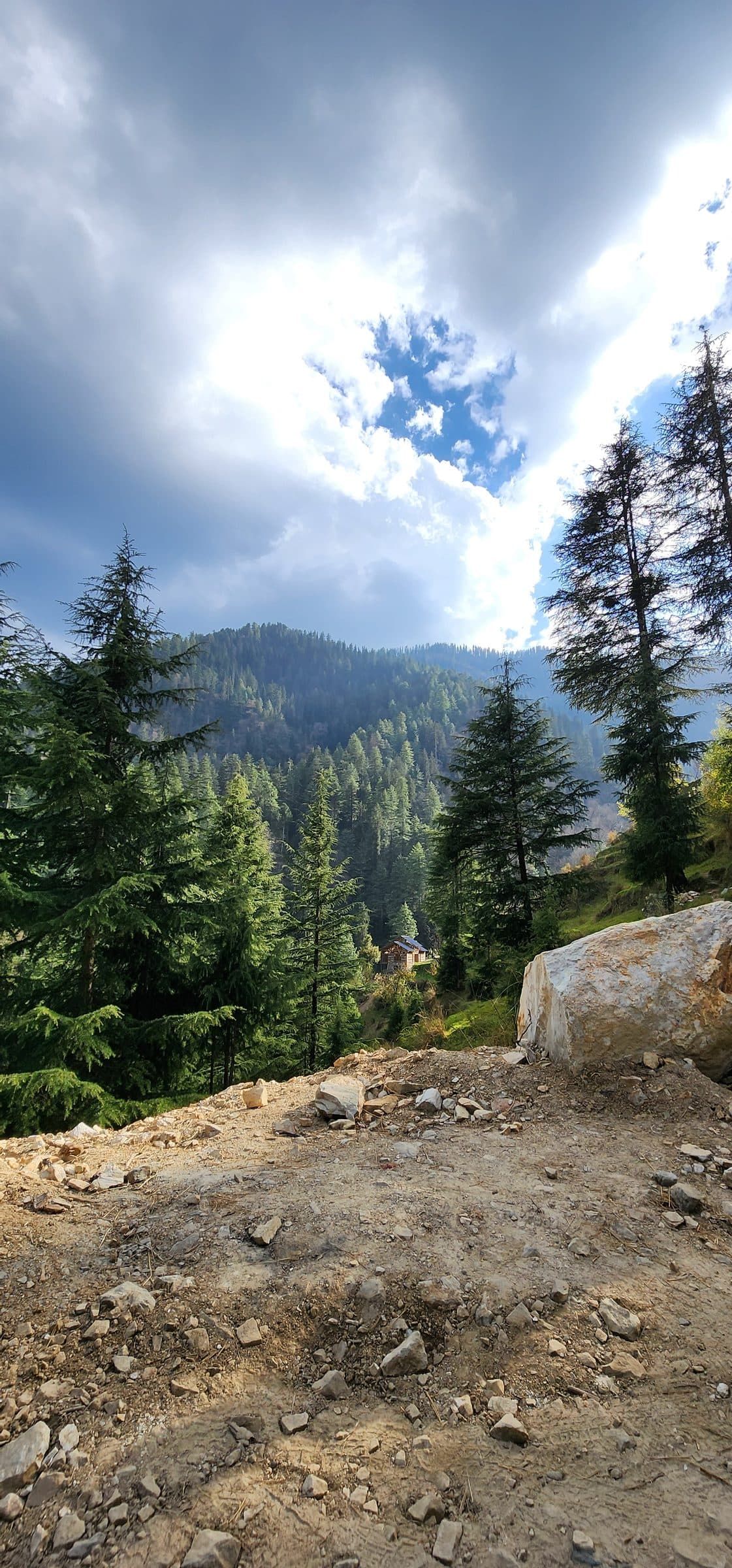 Rocky foreground with scattered pine trees and dense green forest stretching into the distance under cloudy sky