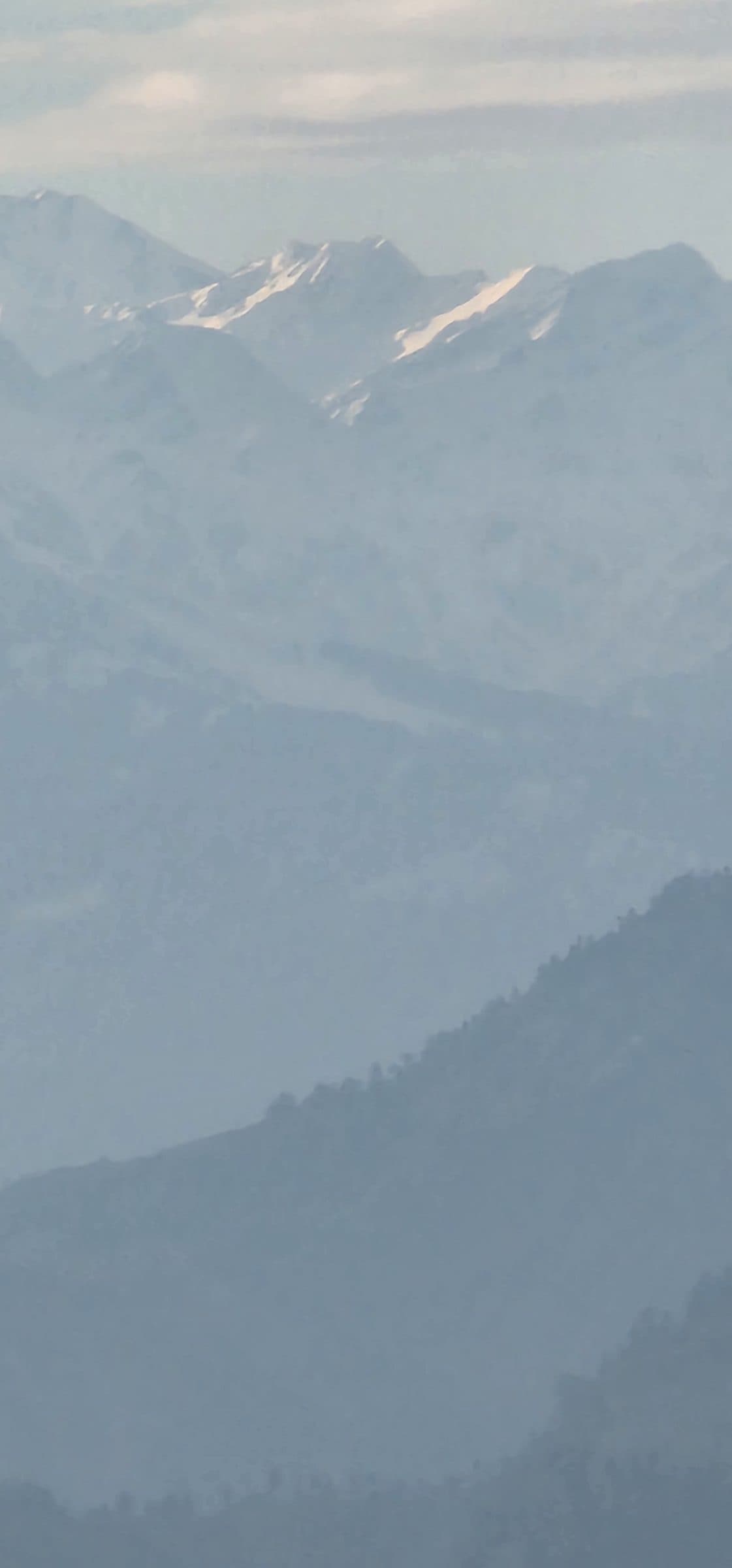 Where the Mountains Whisper: Why Jibhi Valley Is Himachal’s Best-Kept Secret