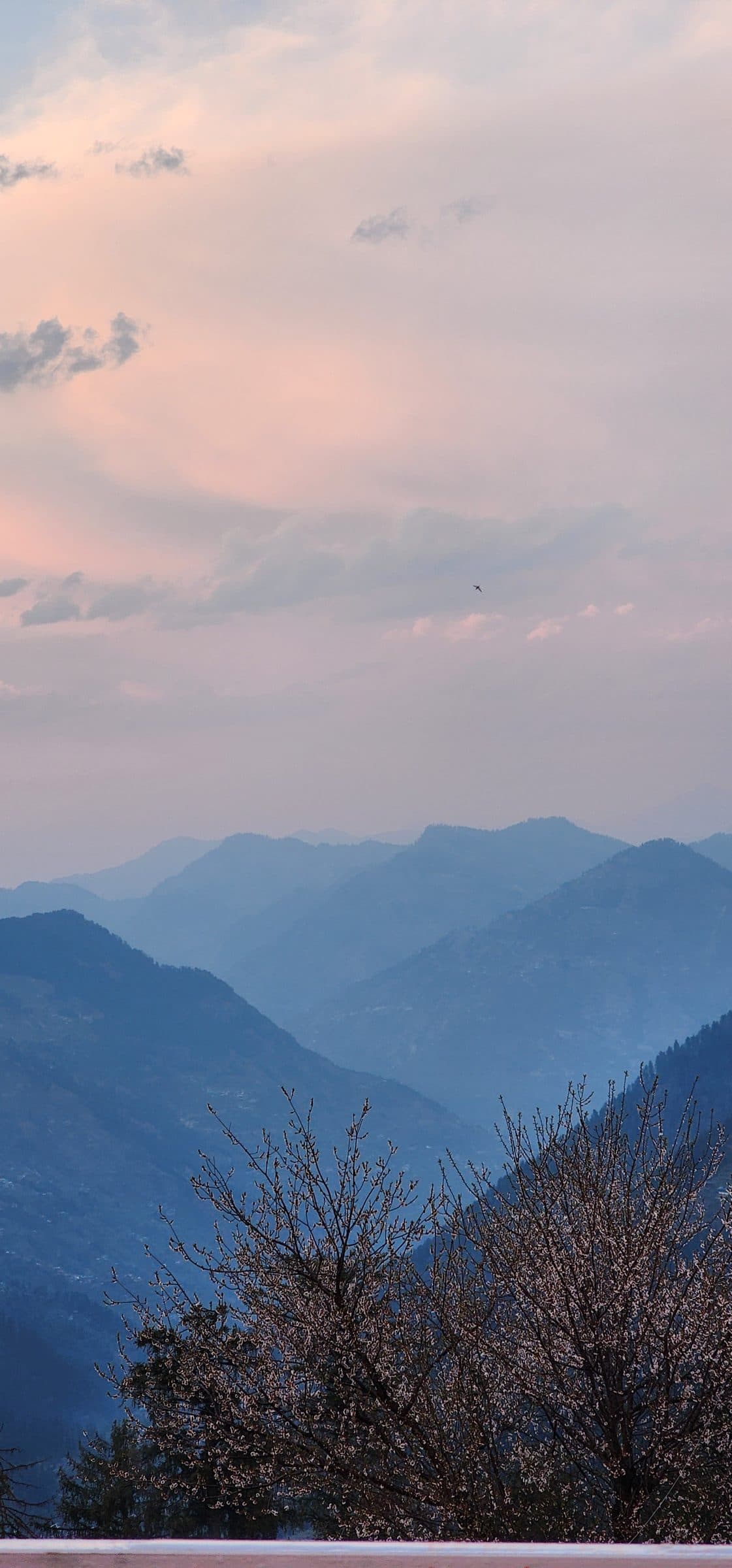 A serene view of Jibhi Valley with scattered trees and a blurred, distant mountain range under a soft sky.