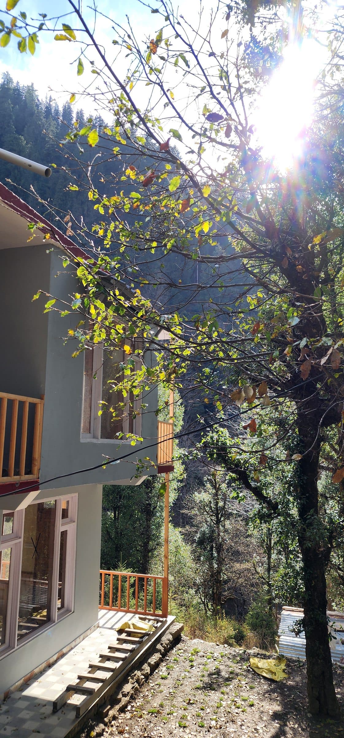 The Quiet Magic of Shoja: A Mountain Pause Above the Clouds