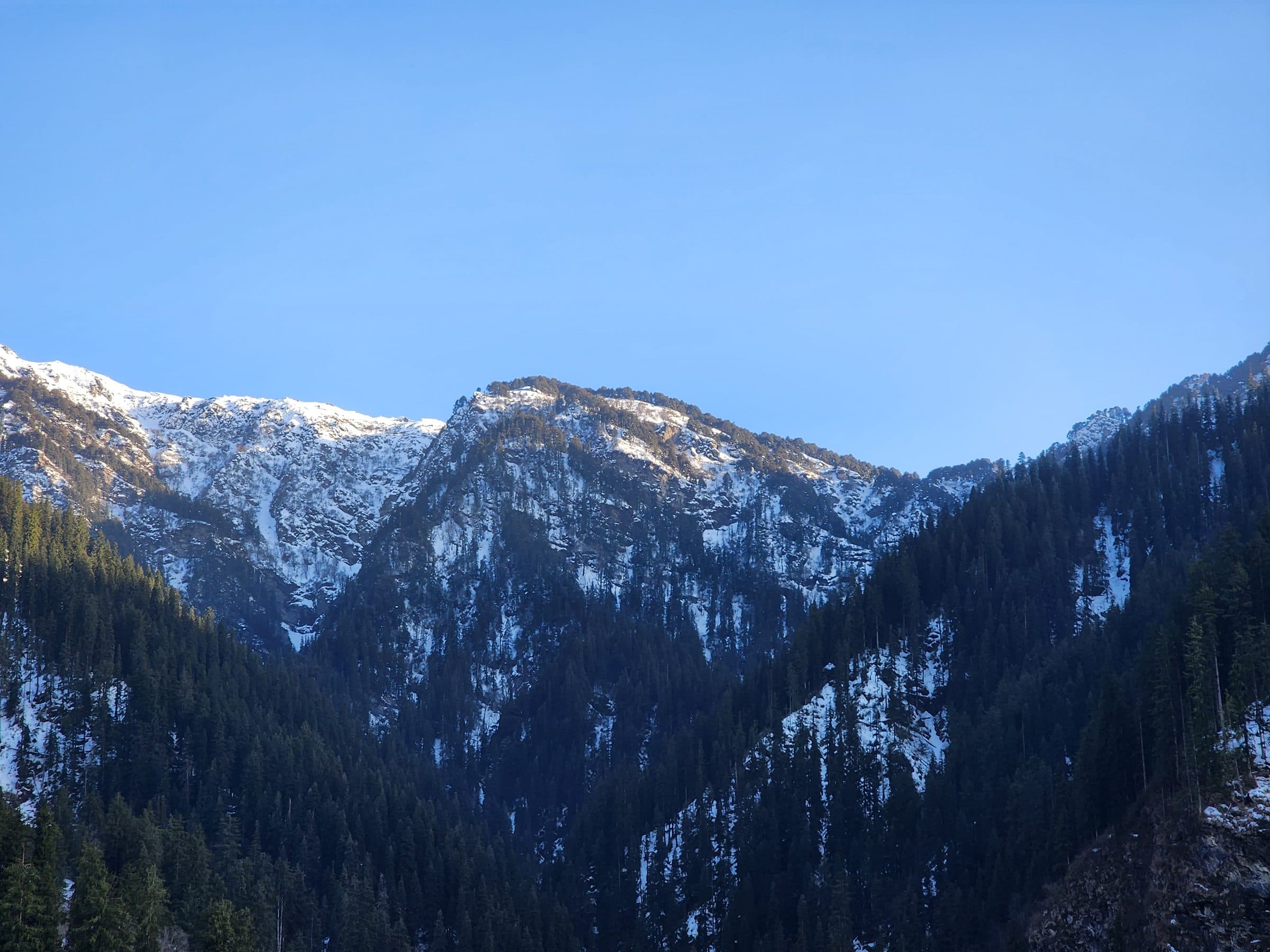 A Shoja Sojourn: Where Snow Dreams Begin and Time Slows Down