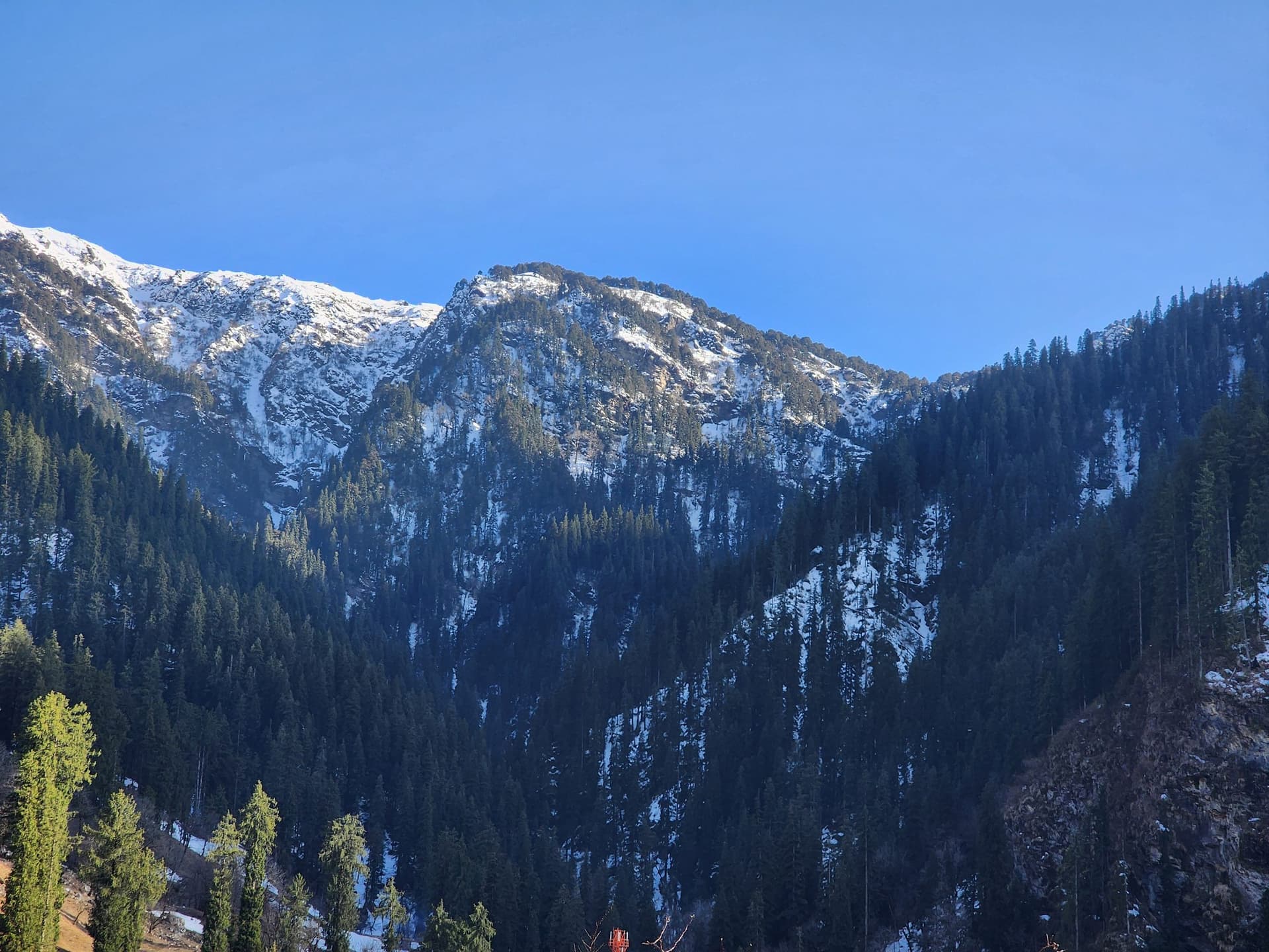 View of dense green forests covering snow-dusted mountain slopes under a blue sky