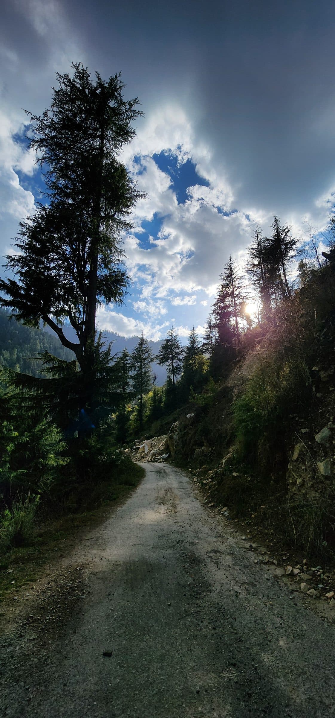 Breathing in the Silence: A Real-Time Guide to Jibhi Weather and the Rhythm of Mountain Seasons