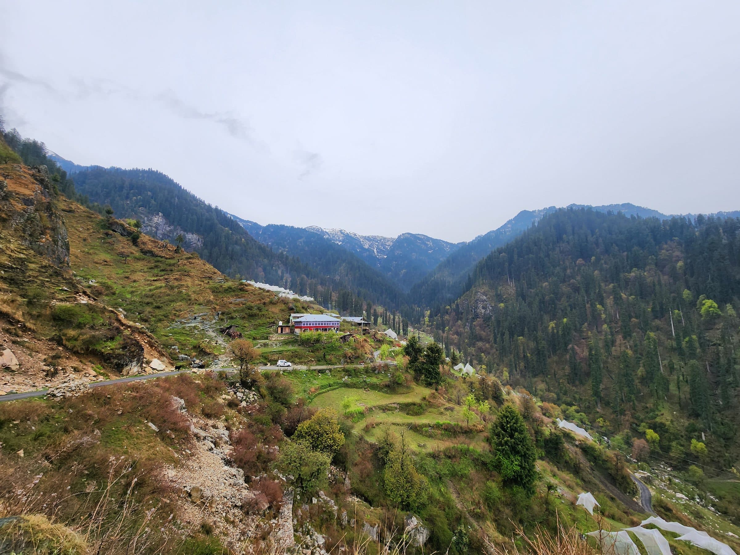 Breathing in the Stillness: What’s the Weather Like in Jibhi Right Now?