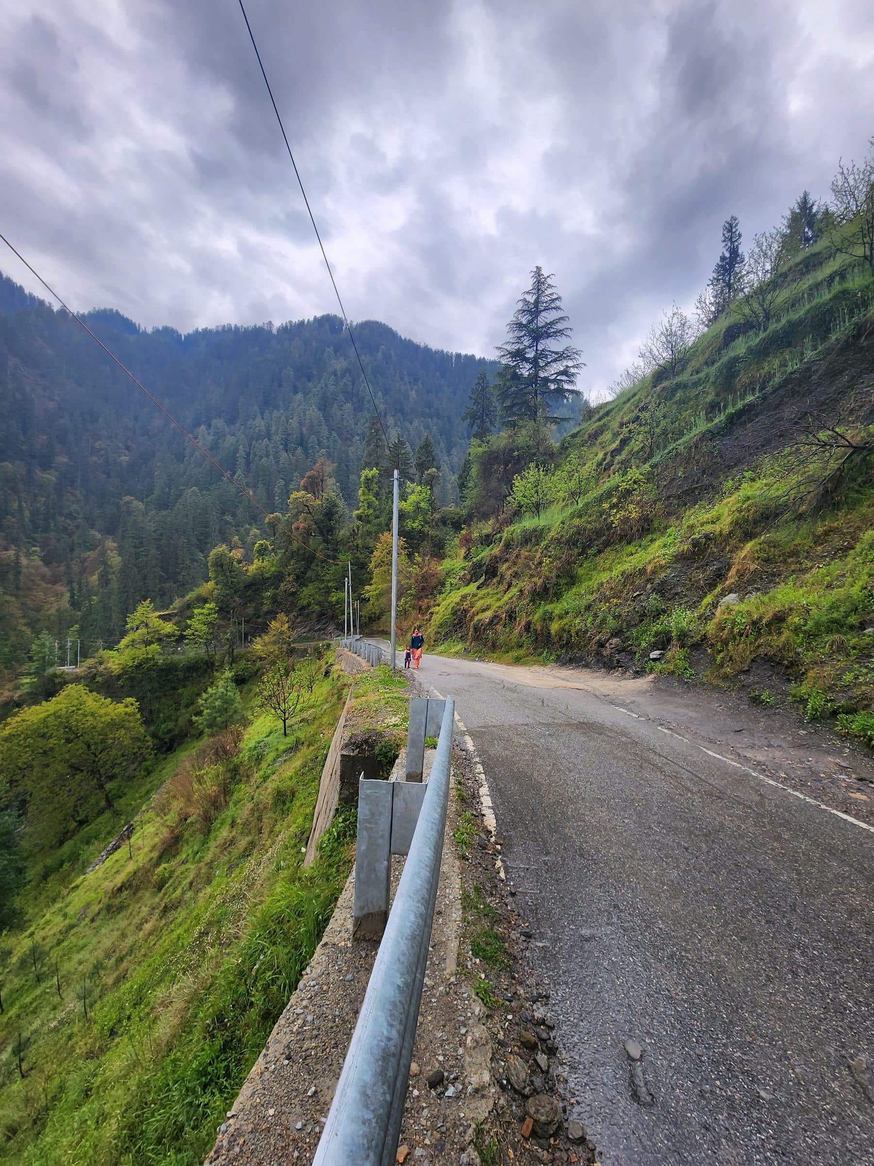 Asphalt road with guardrail cutting through a lush, forested mountain slope