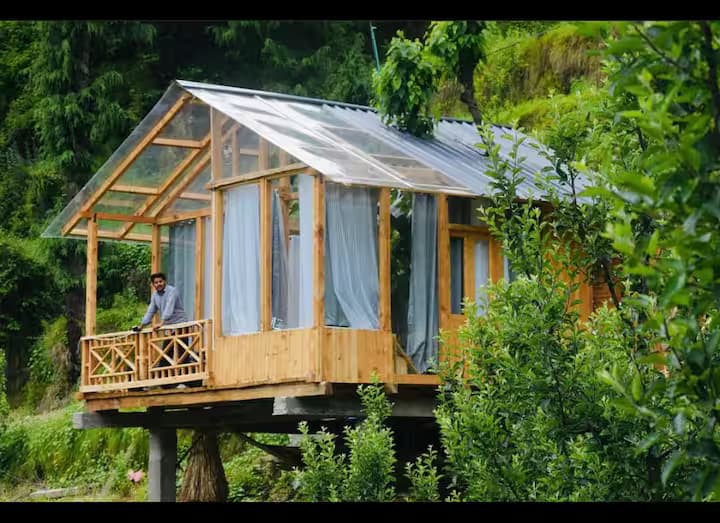 Wooden structure with a sloping roof overlooking dense green forest in Jibhi.