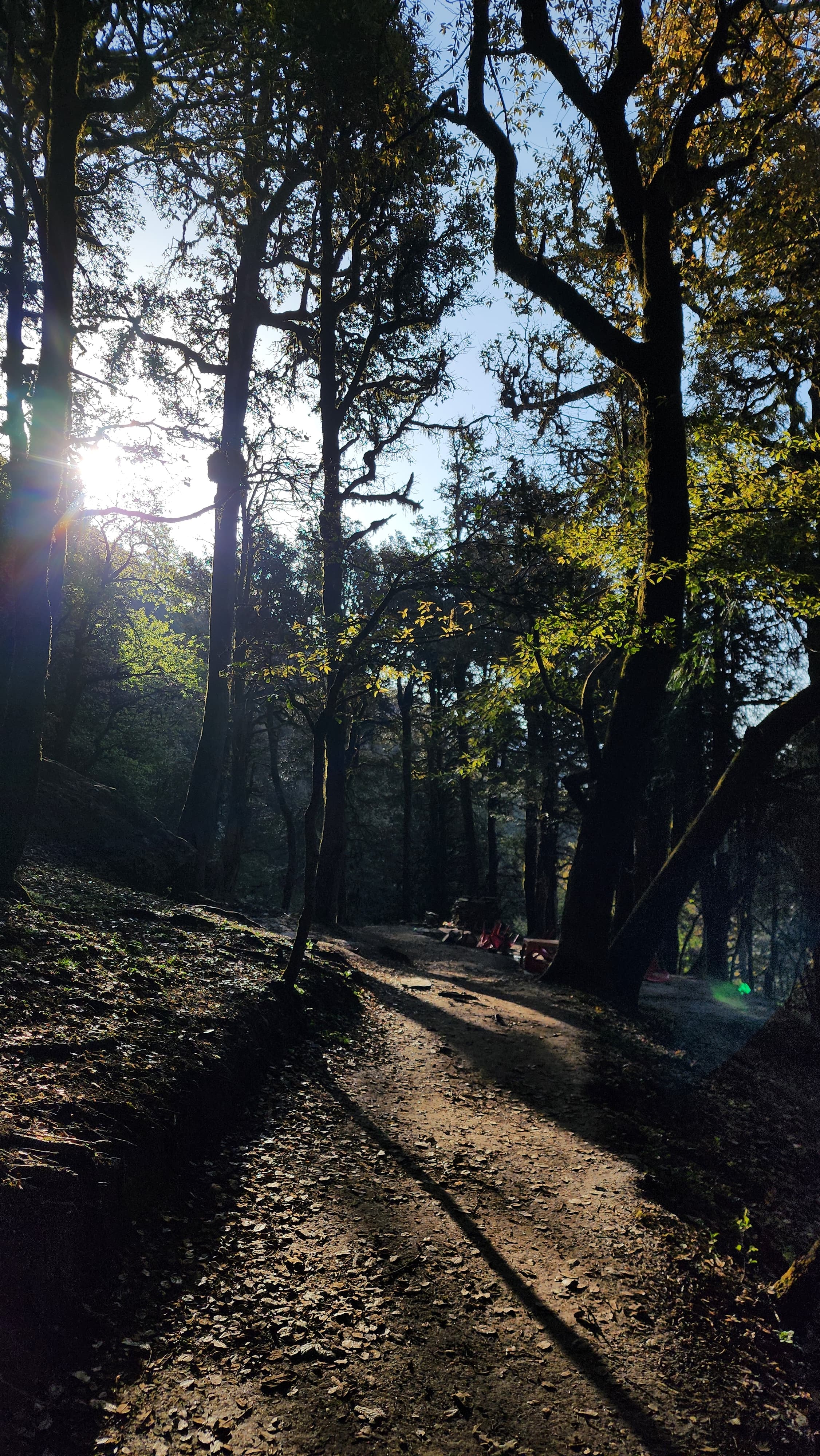 Trail towards Serolsar Lake