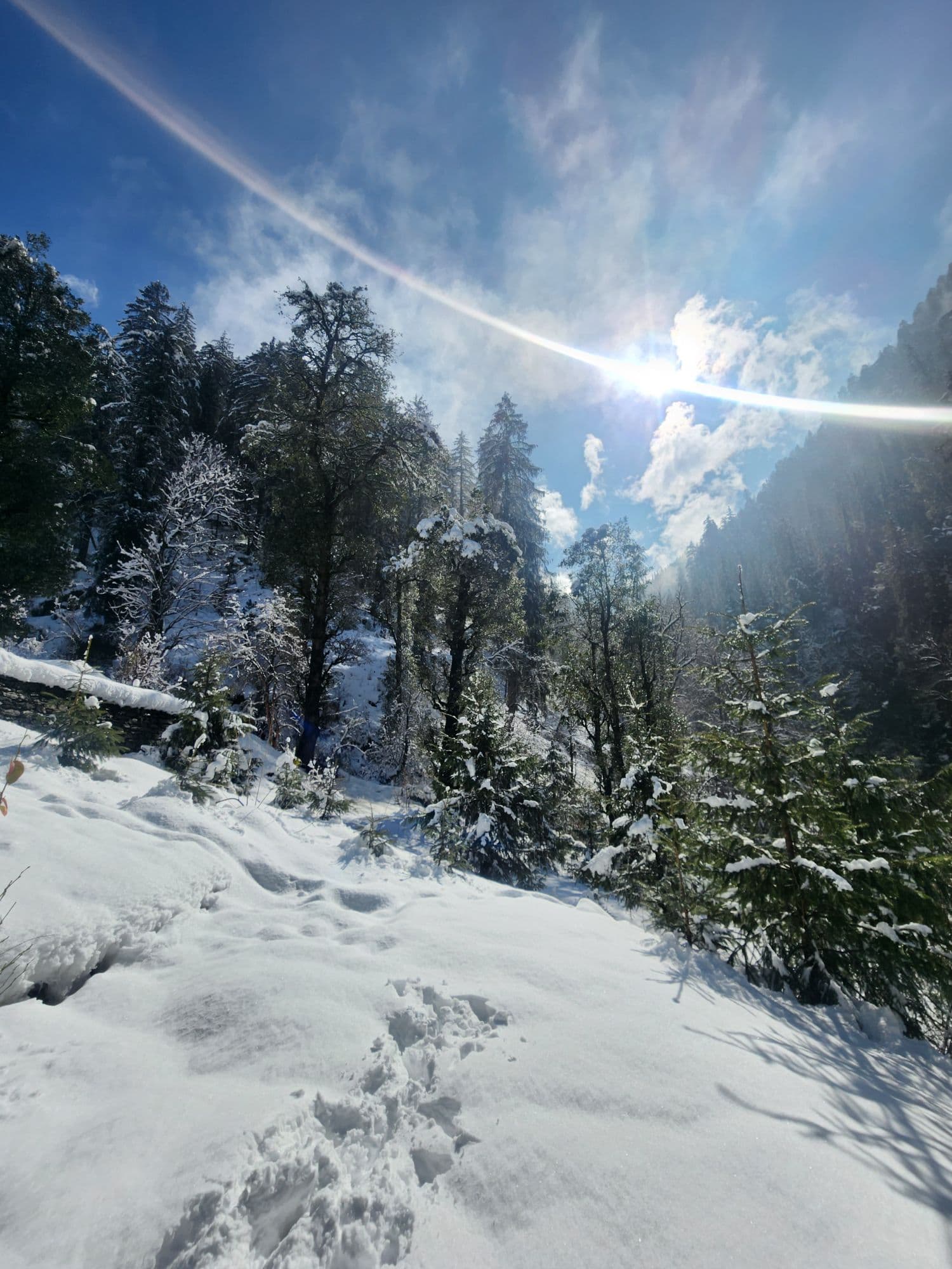 Jibhi Travel Guide 2026 — Complete Guide to Weather, Best Time, Things to Do & Itinerary