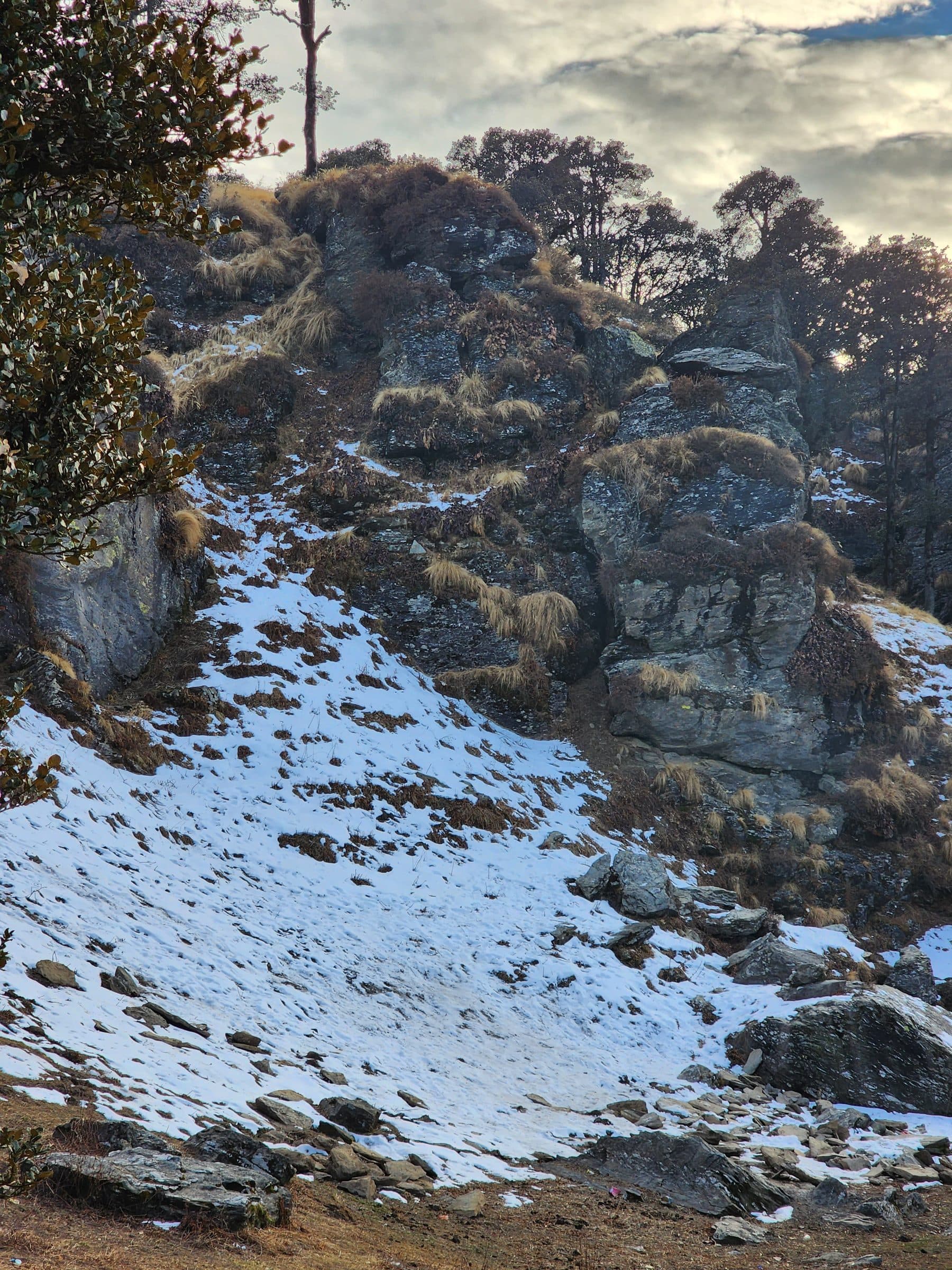 Hilly terrain covered with dry grass and scattered trees with light snow patches.