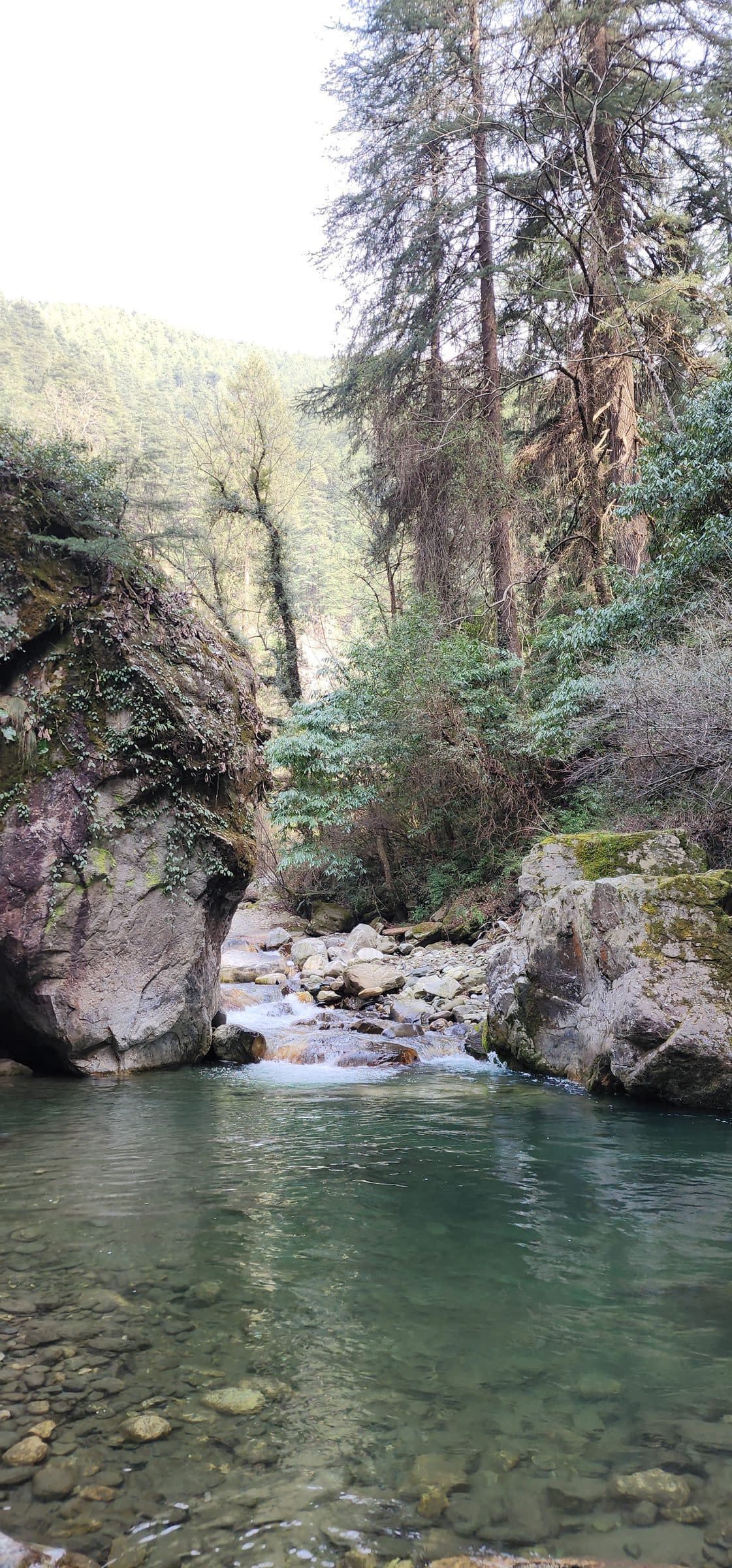 Clear, fast-flowing stream surrounded by large mossy rocks and dense green trees, Near Ailyak Shoja