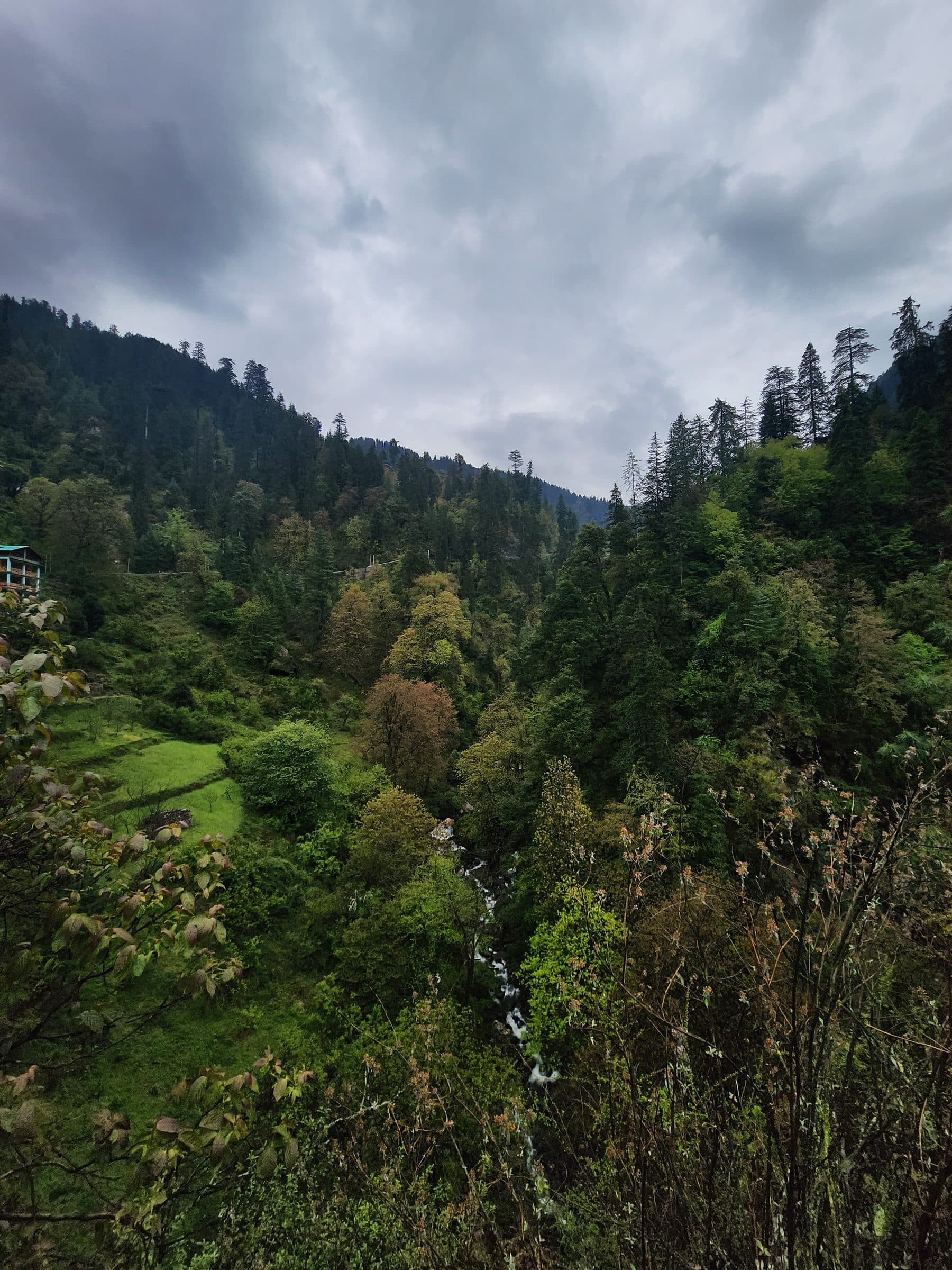 A stunning panoramic view of the lush green Jibhi Valley in Himachal Pradesh, India, featuring a flowing river and dense forest.