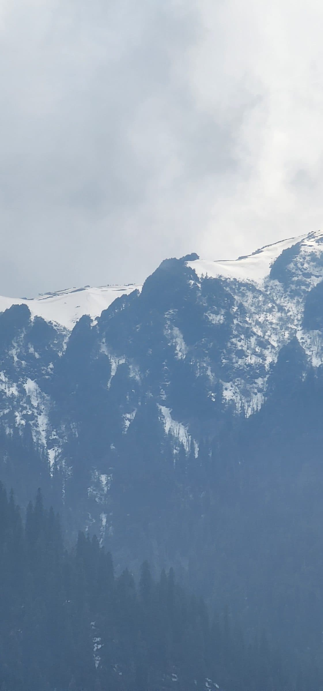Forested mountains in Jibhi Valley covered by soft mist and clouds