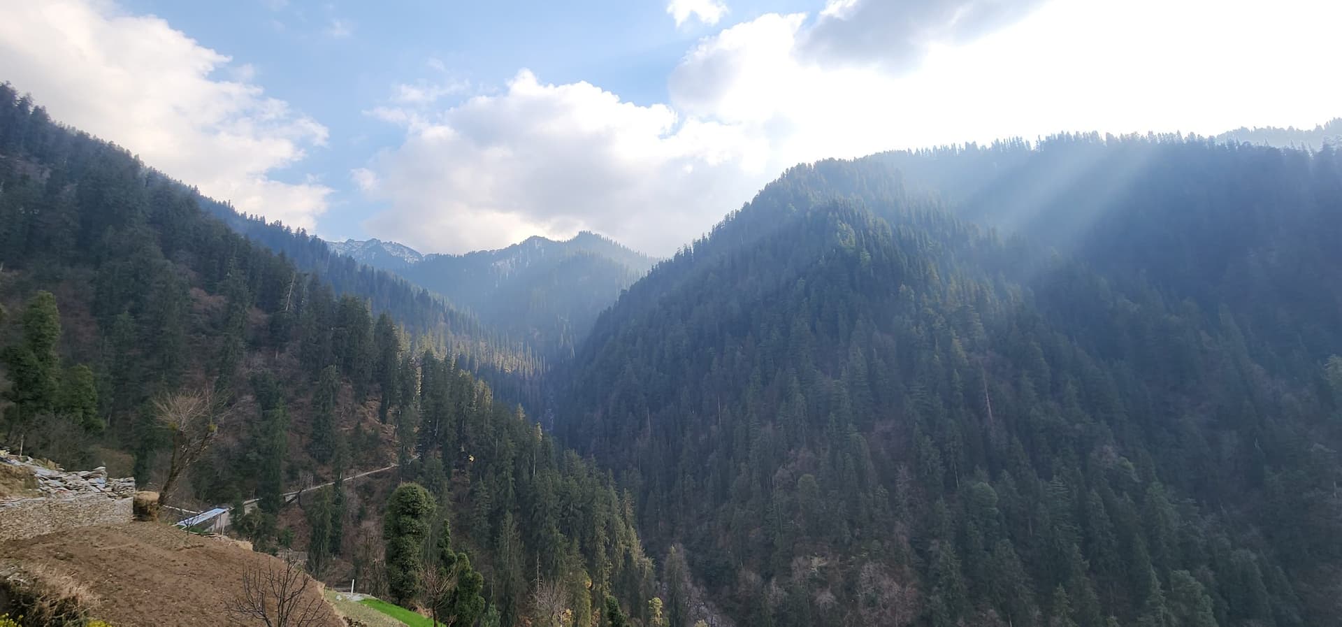 Layered forested mountains and valleys under bright, misty sunlight
