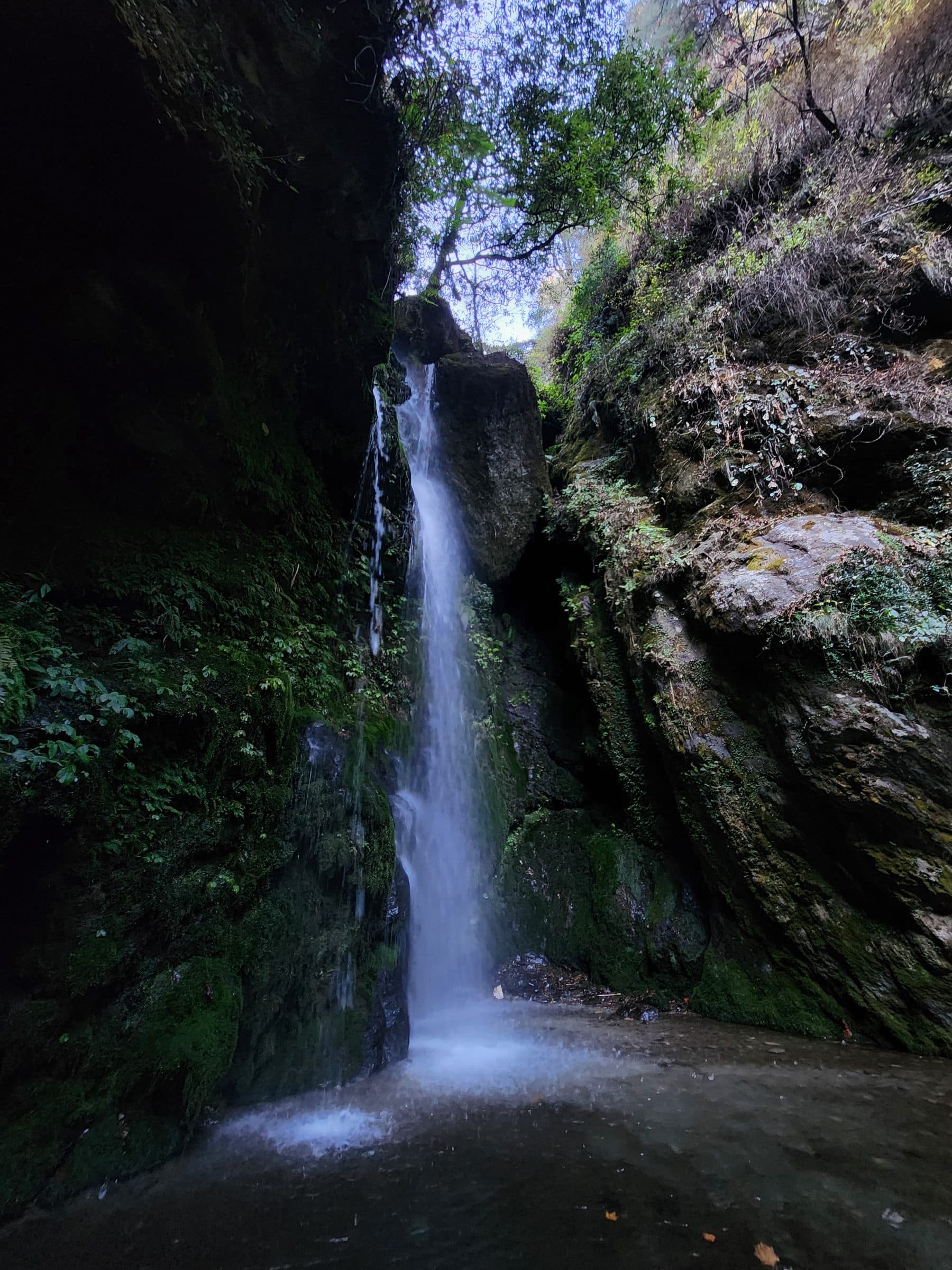 A clear waterfall cascades down mossy rocks in a dense green forest.