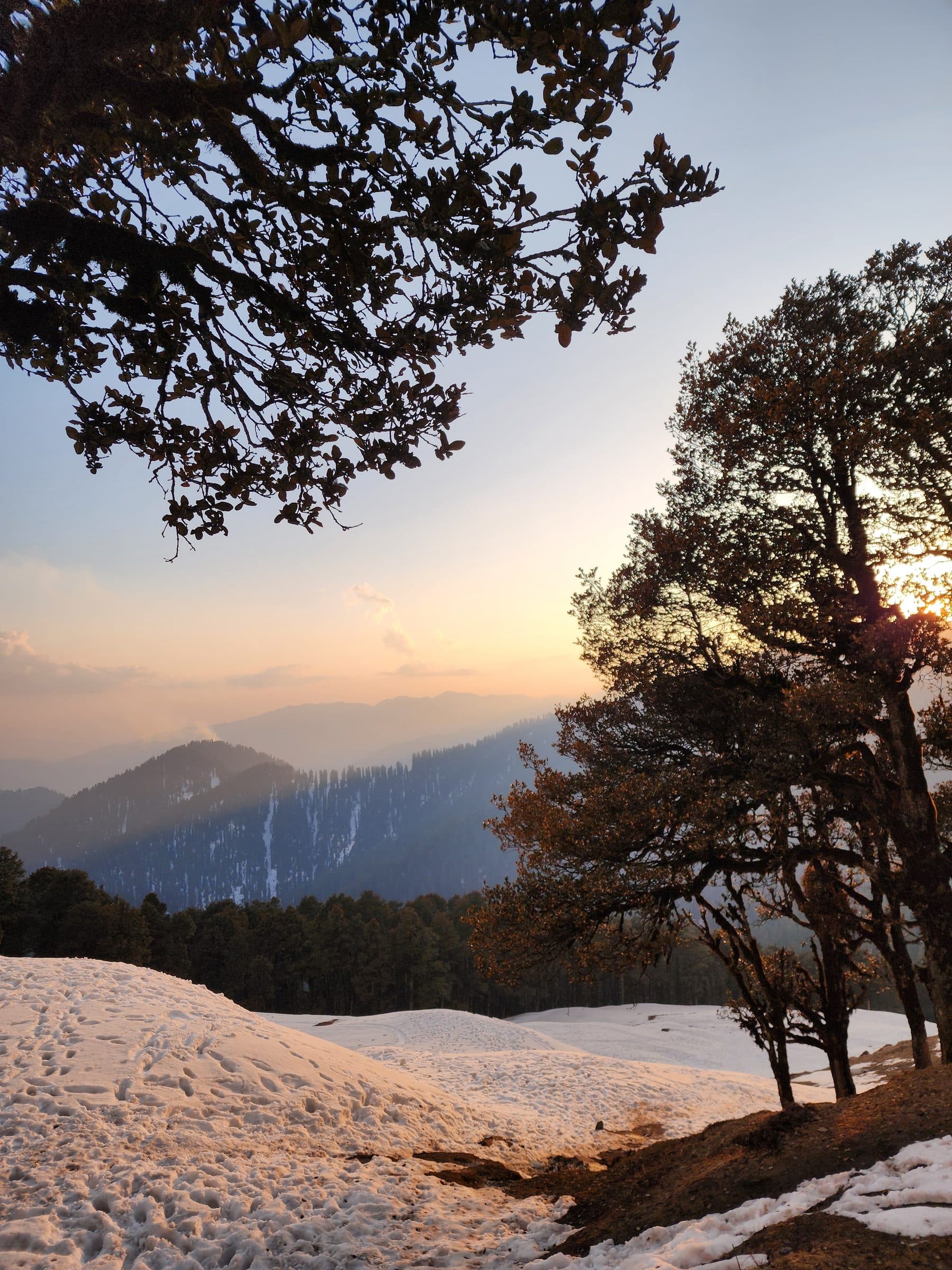 Foreground tree branches frame a snowy, sunlit hillside landscape.