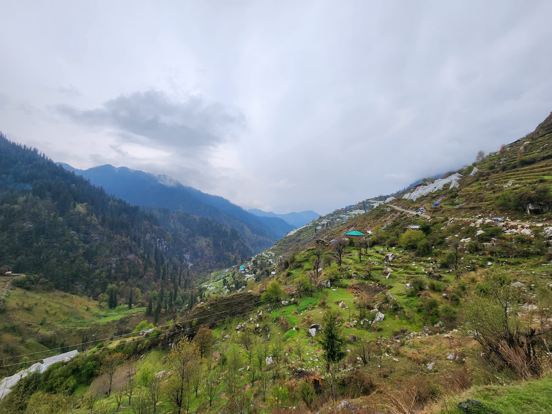 A picturesque view of a green valley in Jibhi Shoja, Himachal Pradesh, India, showcasing dense trees and a winding road.