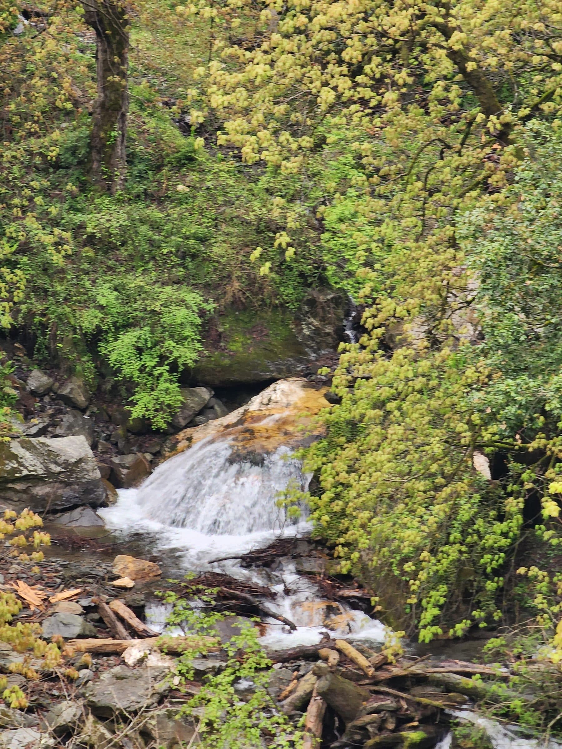 Water flowing over rocks surrounded by dense green foliage and moss, Near Ailyak Seri