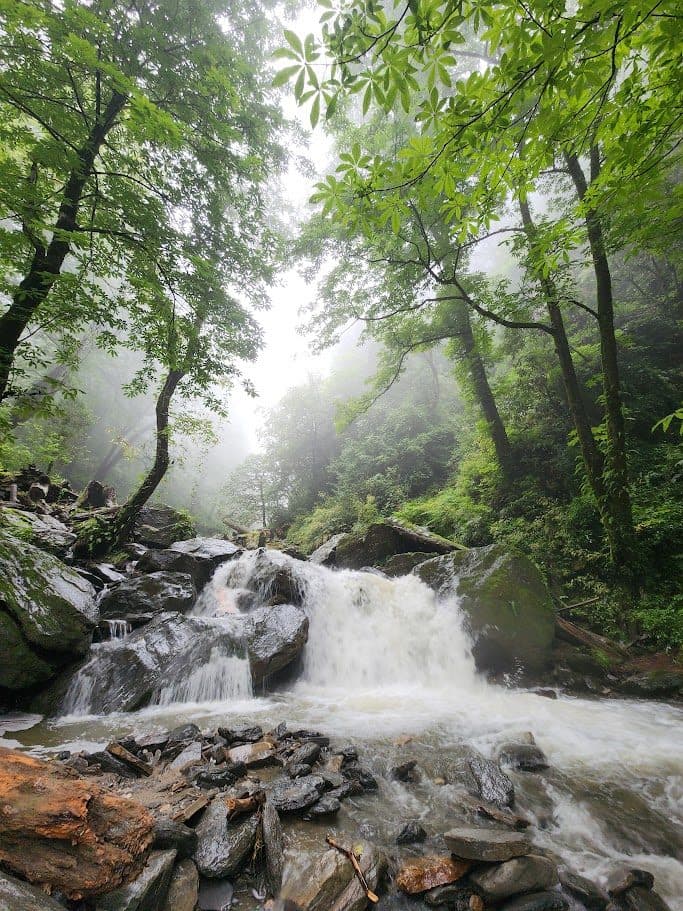 Lush green rocks and trees surrounding a misty flowing waterfall near Ailyak.