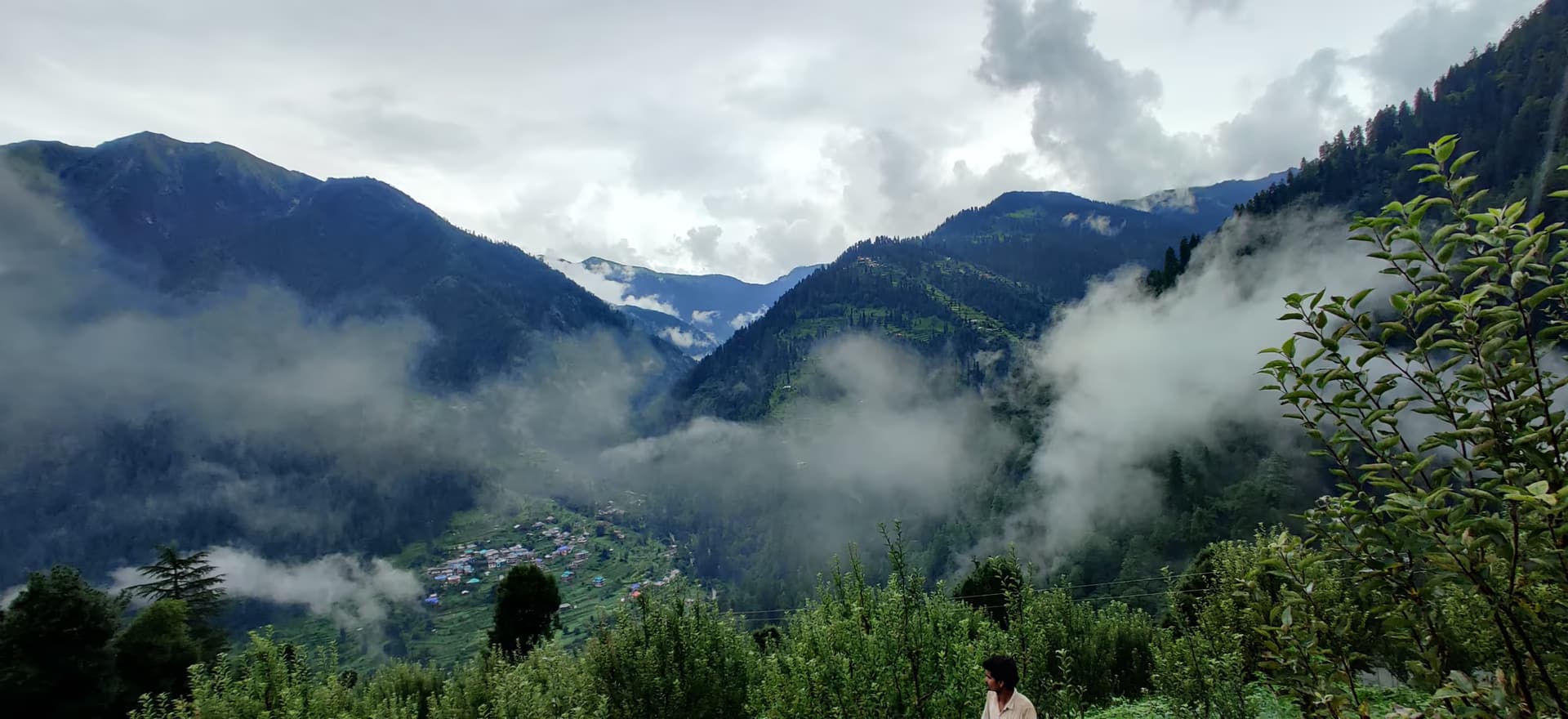 Layered mountain ranges covered in heavy fog and lush green forest