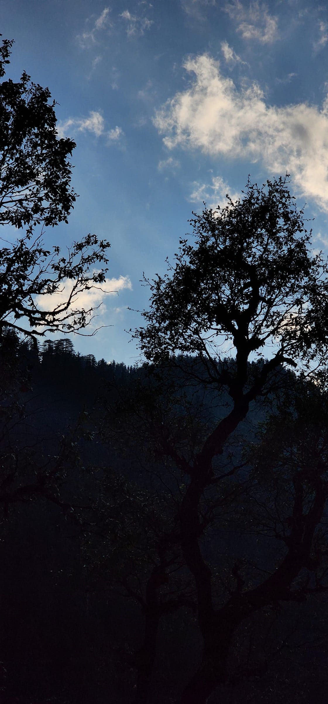 The Quiet Magic of Jibhi: Why This Himalayan Valley Is Calling You Now