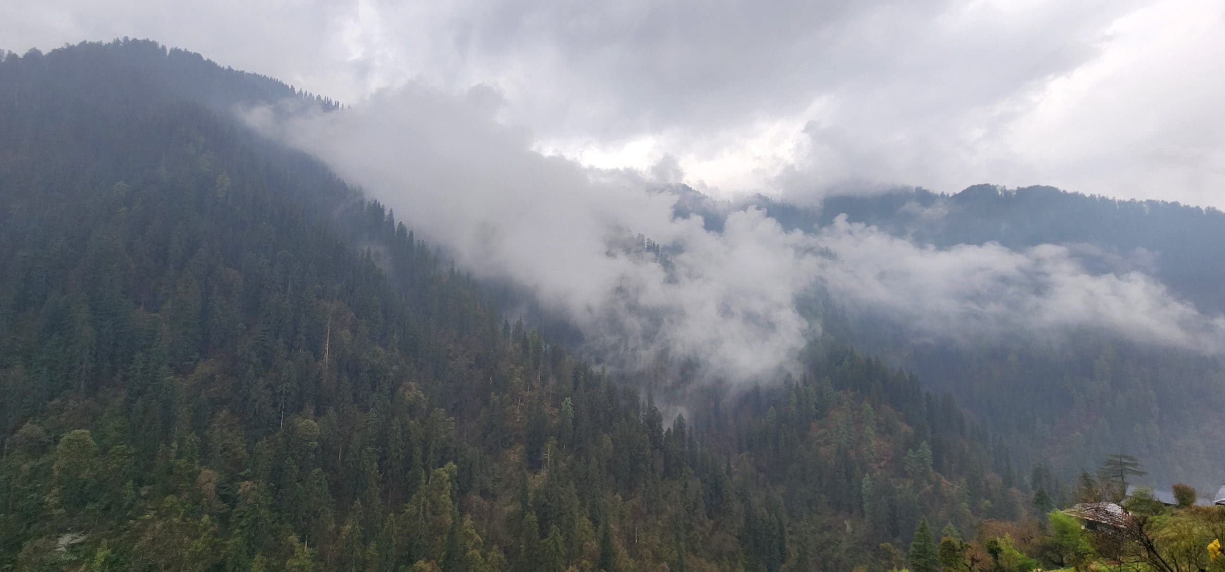 Where the Mountains Whisper: Finding Stillness in Jibhi Valley This April