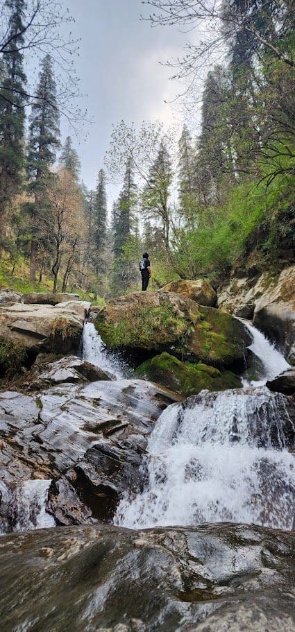 When to Visit Shoja and Jibhi: A Season-by-Season Guide to the Himalayas’ Hidden Valley