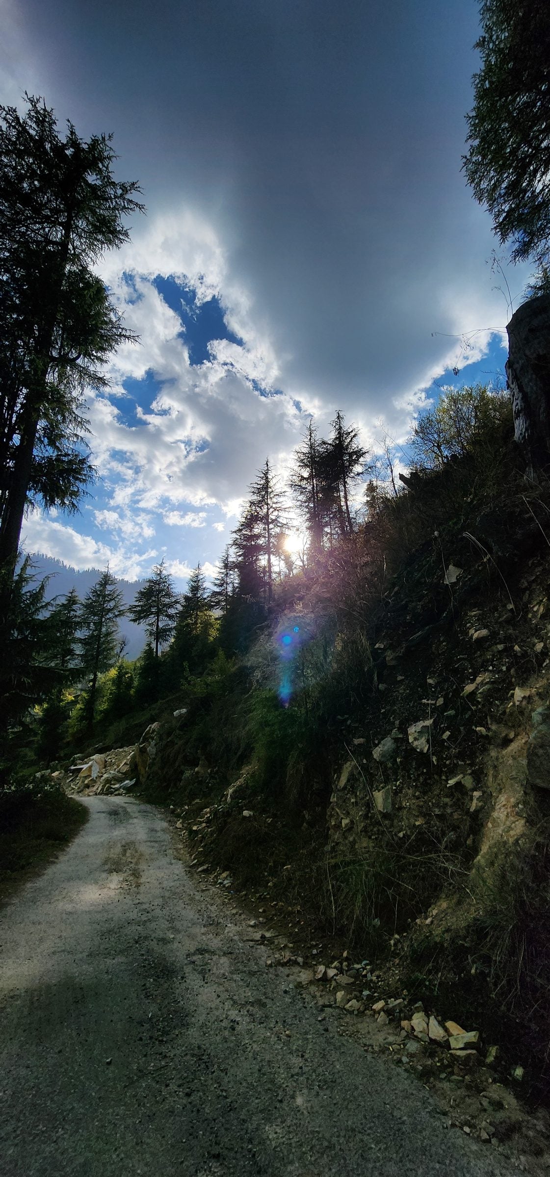 A Misty Morning in Shoja Valley, Jibhi A winding mountain road in Shoja, Himachal Pradesh, India, framed by towering pine trees and a hazy blue sky.