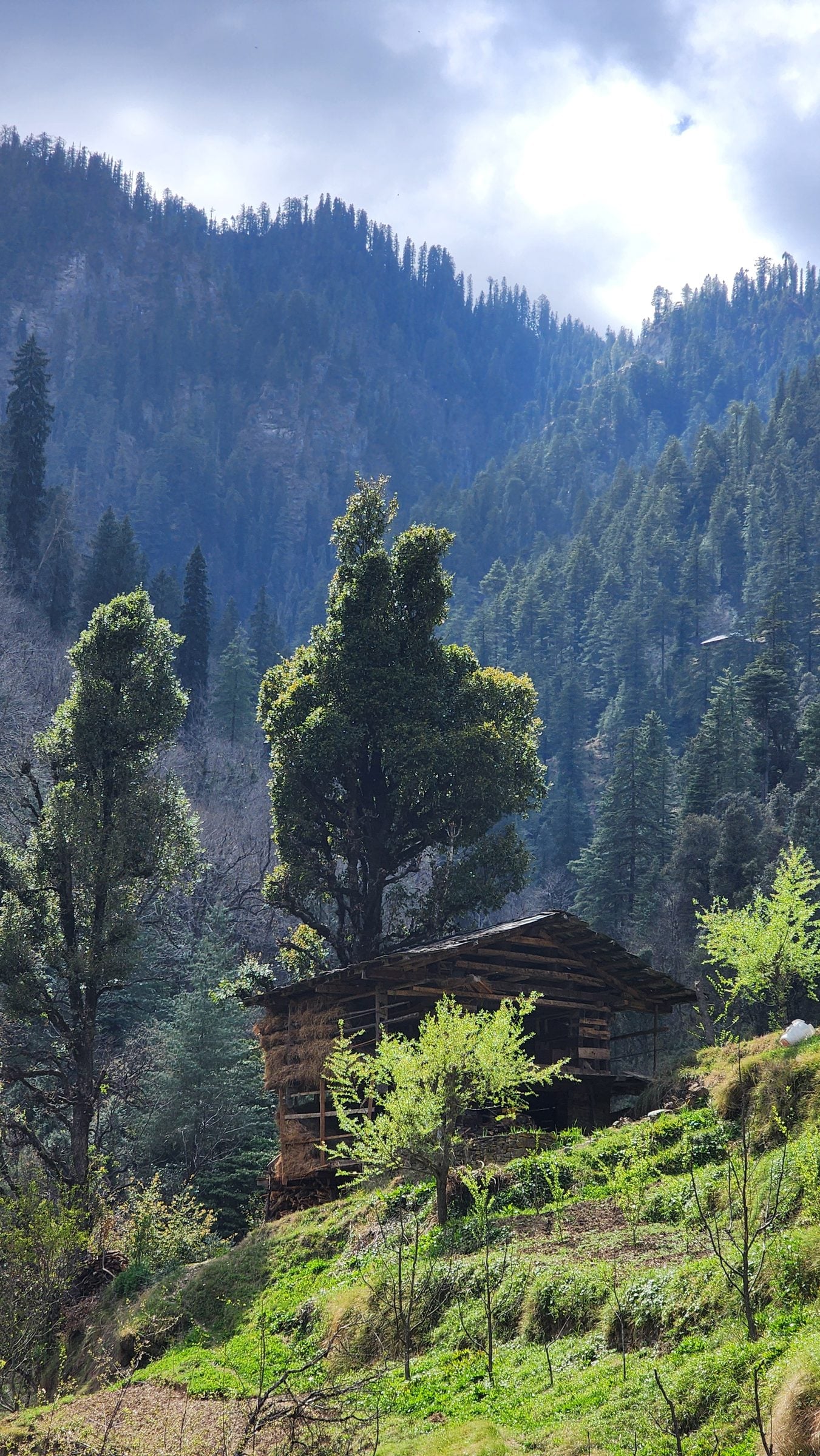 Wooden structure nestled among tall green trees and mountains under cloudy sky