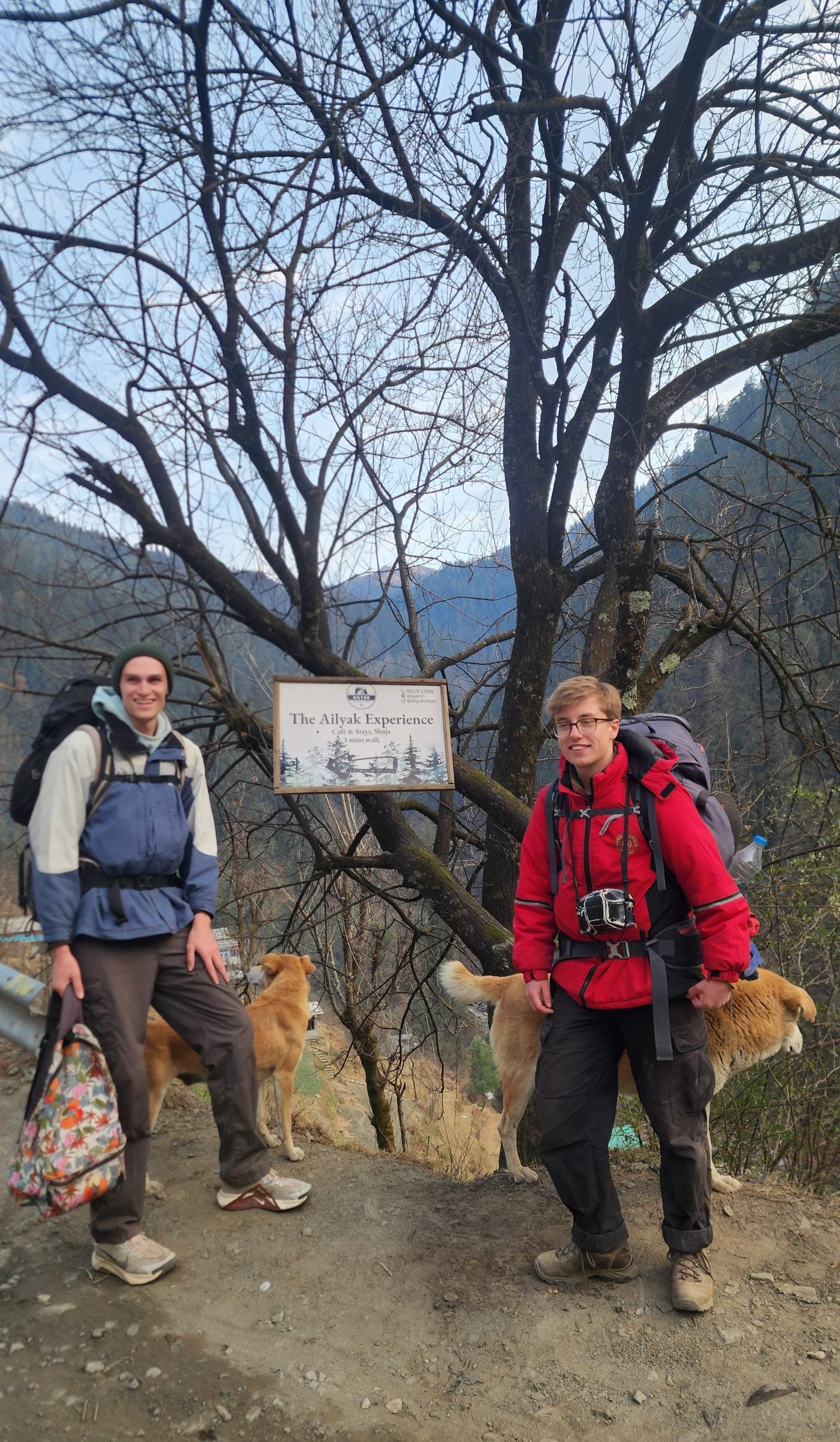 Nature View in Jibhi Valley Two people standing in a forest near a wooden sign in Jibhi Valley