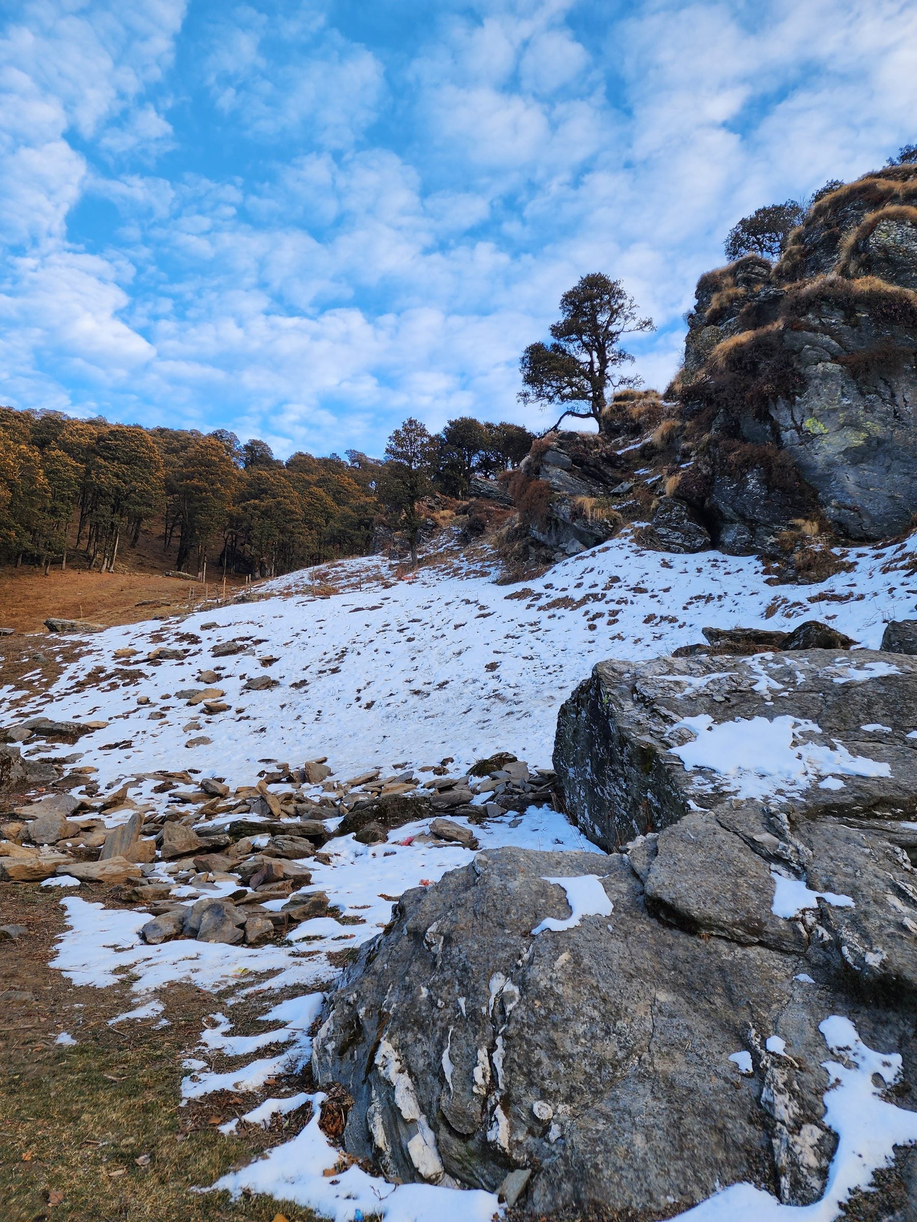 A serene winter scene in Jibhi Valley, Himachal Pradesh, India, featuring snow-covered rocks and a dense forest.