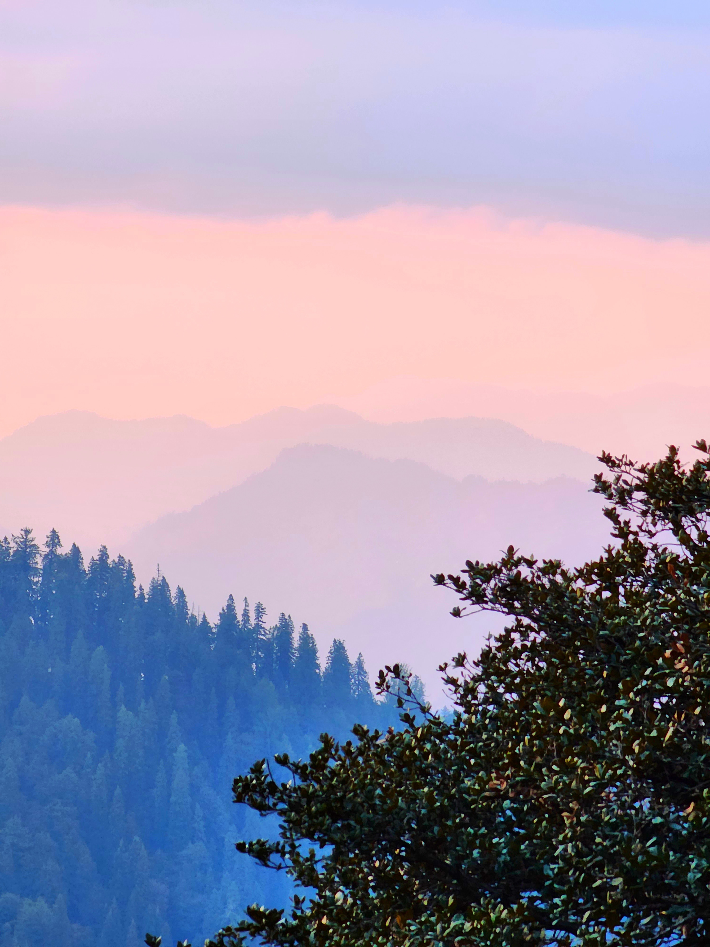 A serene landscape view in Jibhi Valley, Himachal Pradesh, India featuring misty mountains and lush green trees.