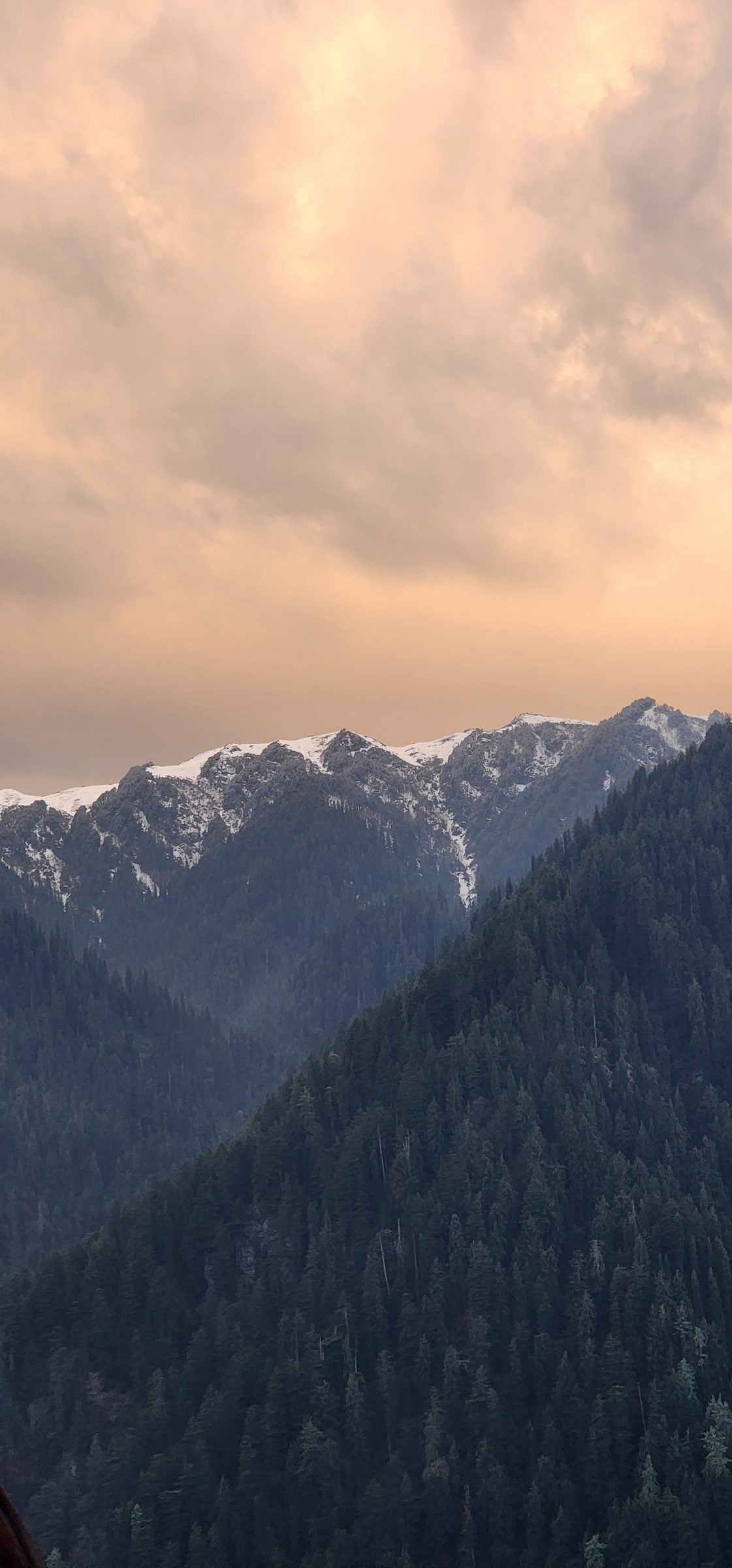 Serene Beauty of Jibhi Valley: A Himalayan Escape A stunning, misty mountain landscape in Jibhi Valley, Himachal Pradesh, India with trees and soft clouds.