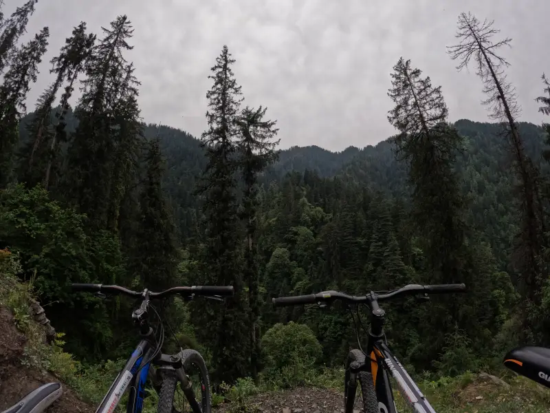 Biker on a lush forest trail in Jibhi