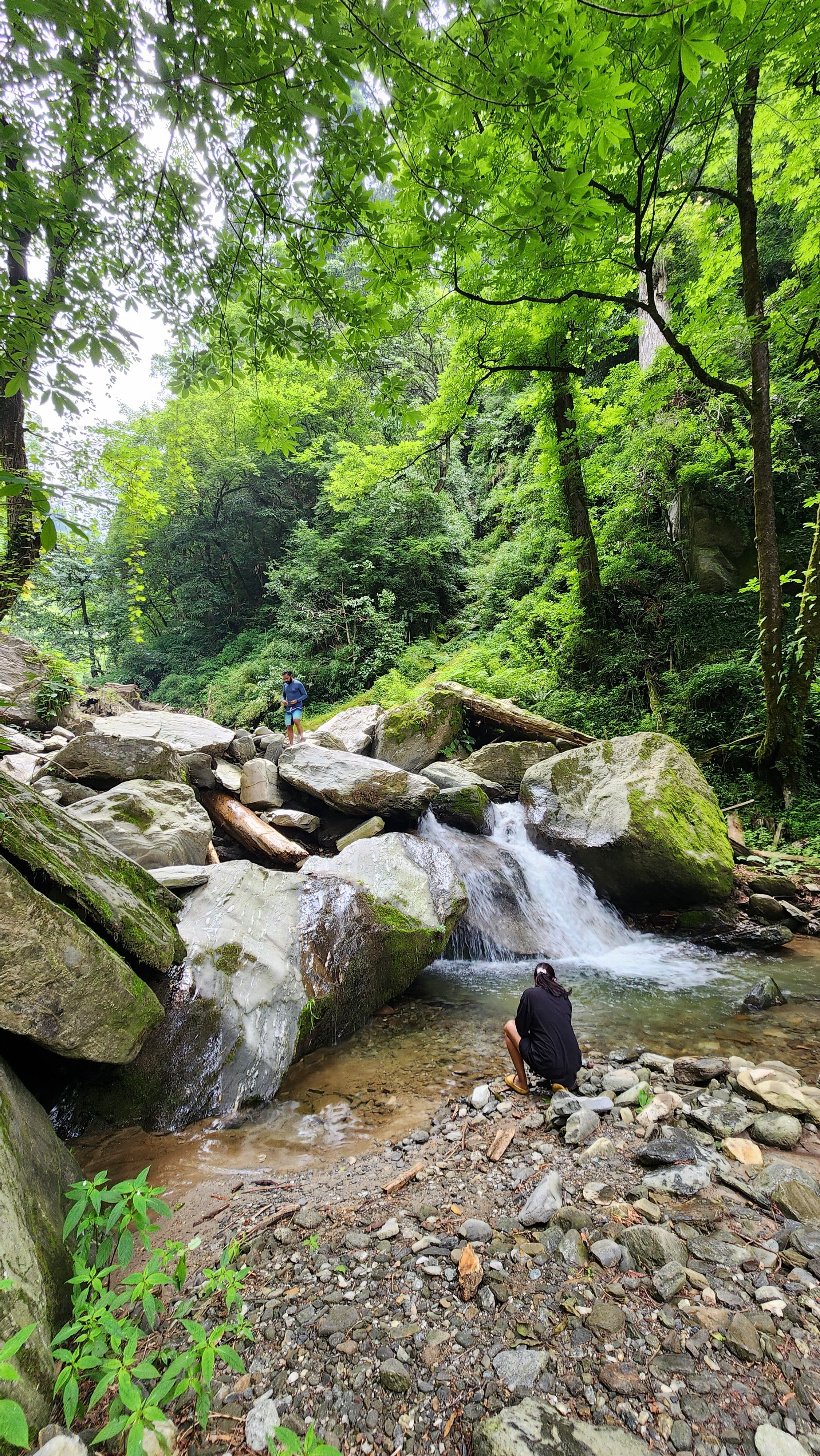 Serene riverbank with lush greenery