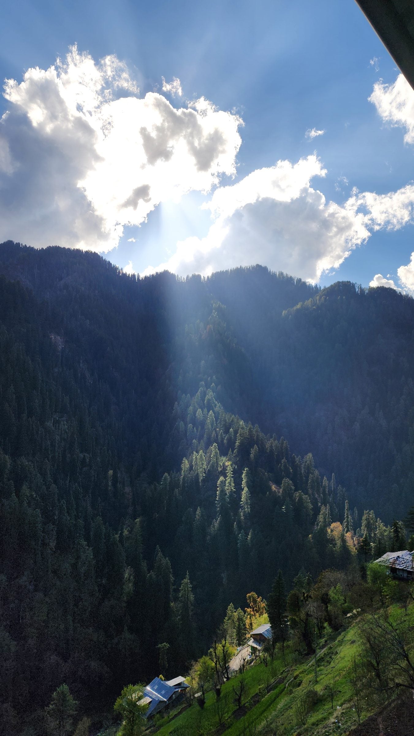 A charming hillside village in Shoja, Himachal Pradesh, India, featuring traditional houses nestled amidst lush green trees.