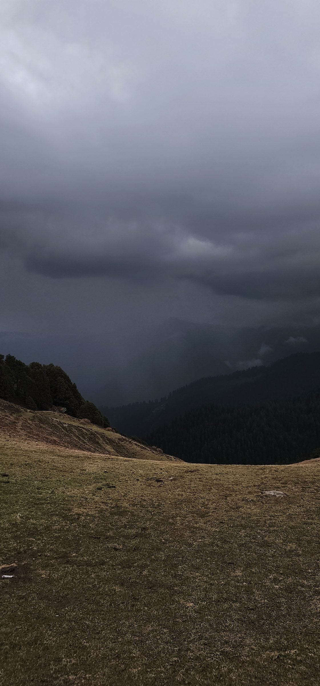 A panoramic view of a lush green valley in Shoja, Himachal Pradesh, India, with scattered trees and rolling hills under a cloudy sky.