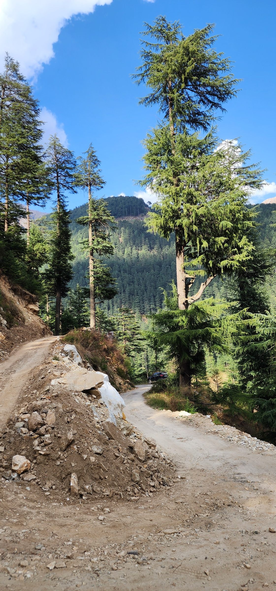 Jibhi Valley Update: Snowfall, Weather, and Road Access in April 2026