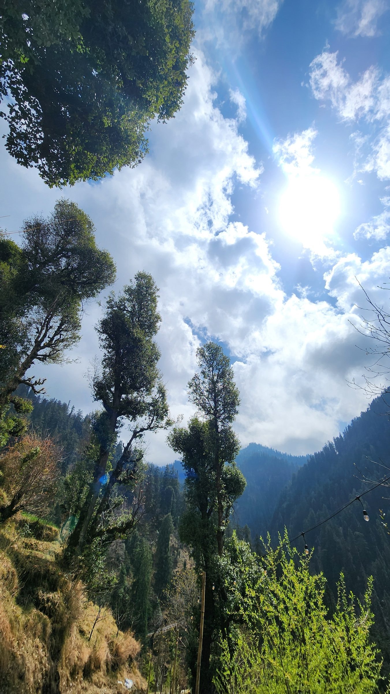 Blossoms, Blue Skies, and the Pulse of the Valley: Jibhi in April 2026