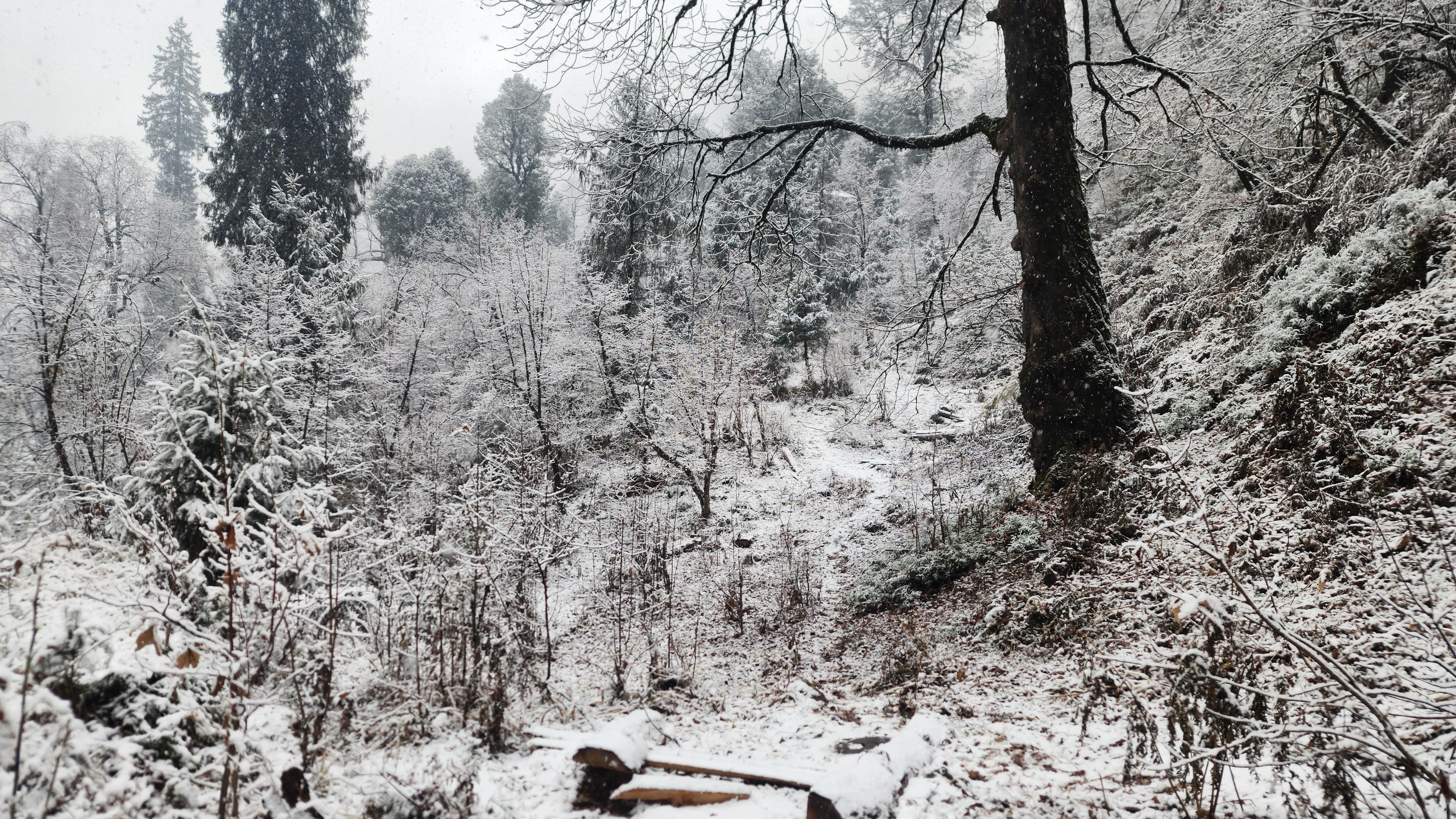 Jibhi in February - winter season in Jibhi Valley