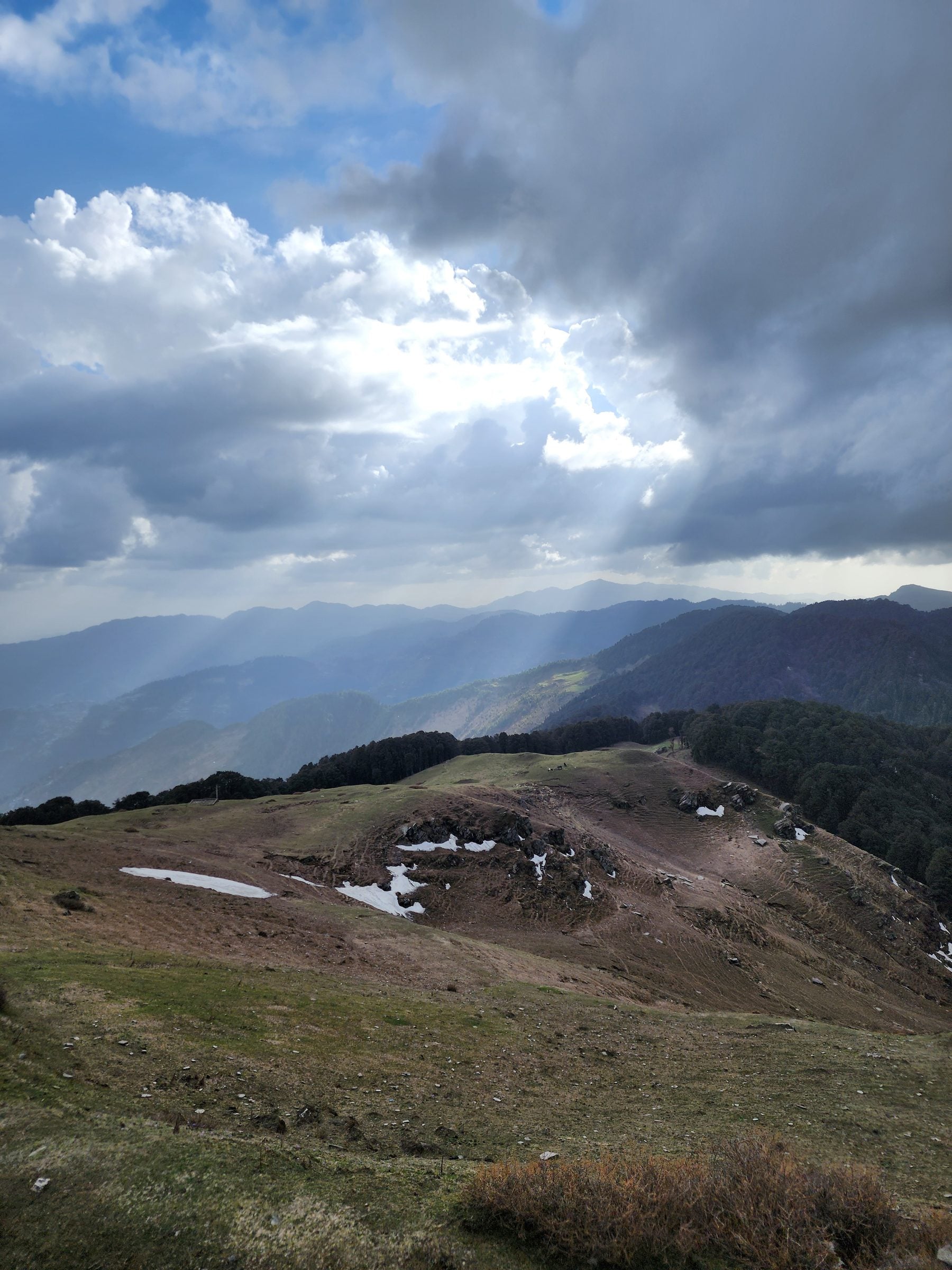 Silent Majesty: Jibhi Valley's Tranquil Embrace A breathtaking vista of a lush green valley in Jibhi, Himachal Pradesh, India, featuring scattered trees and a cloudy sky.
