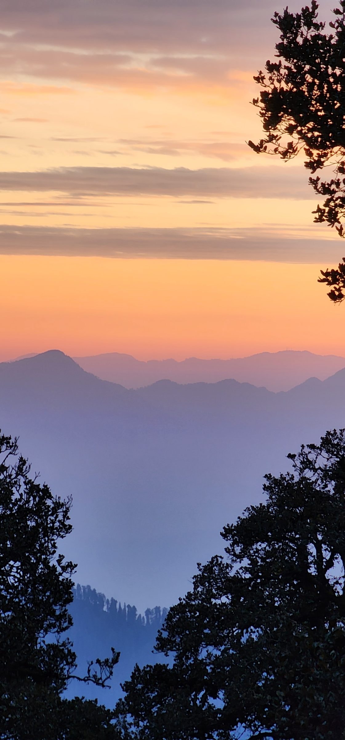 Jibhi In Which State