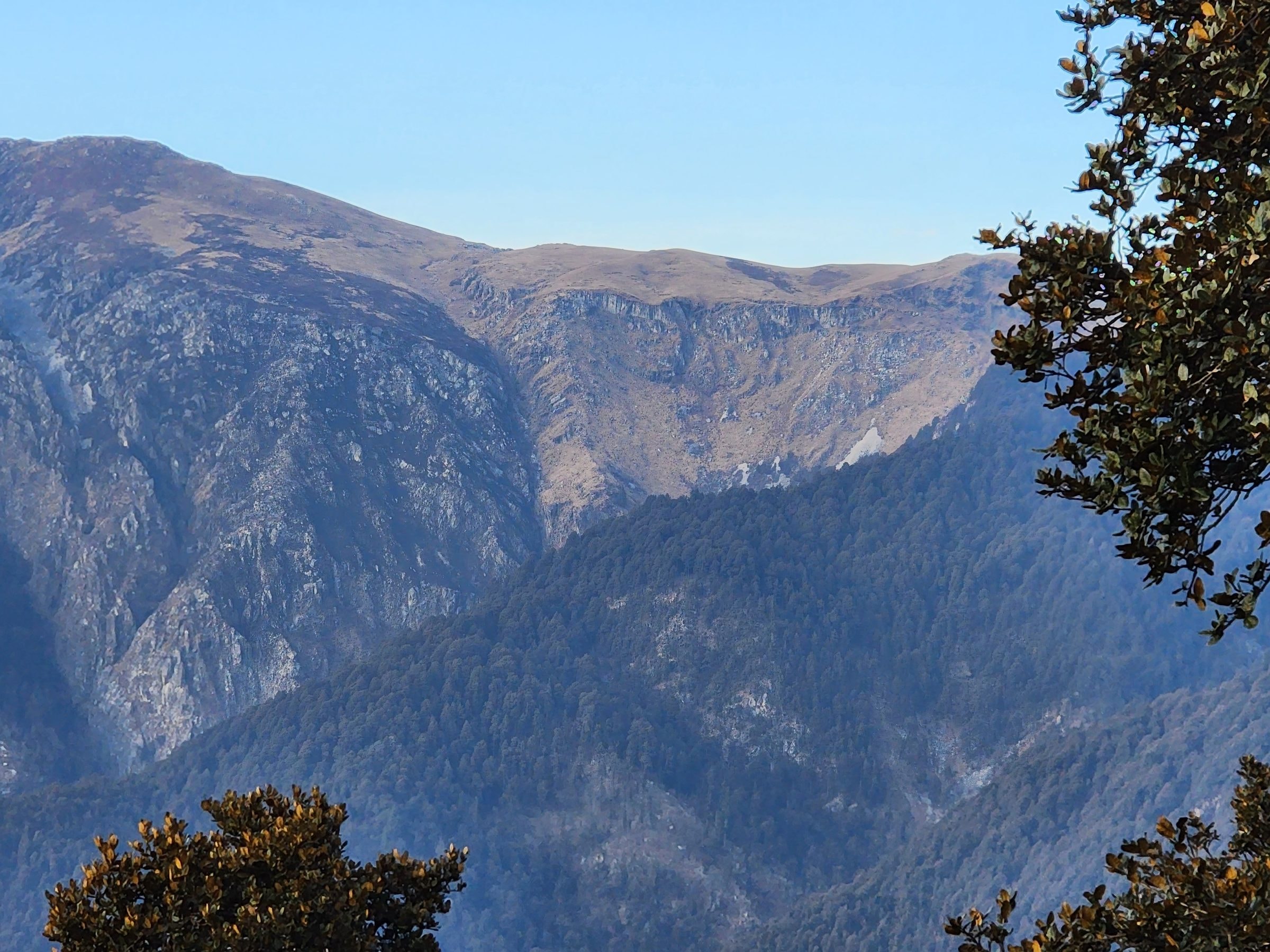 Jibhi Current Weather