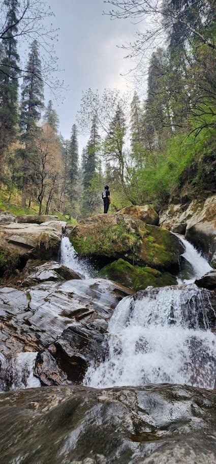 20250409_143351.jpg 20250409_143351.jpg