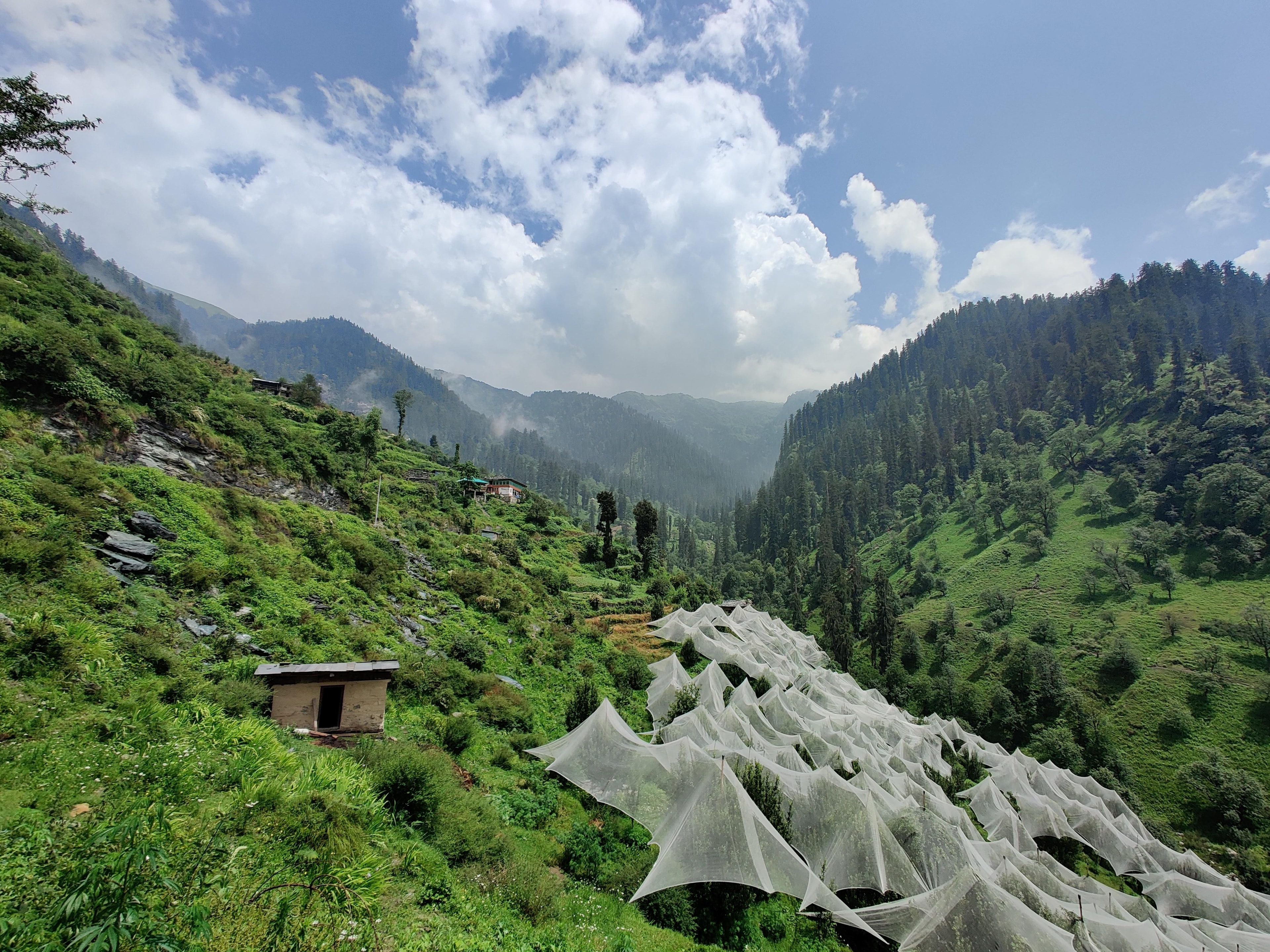 Jibhi in June - summer season in Jibhi Valley