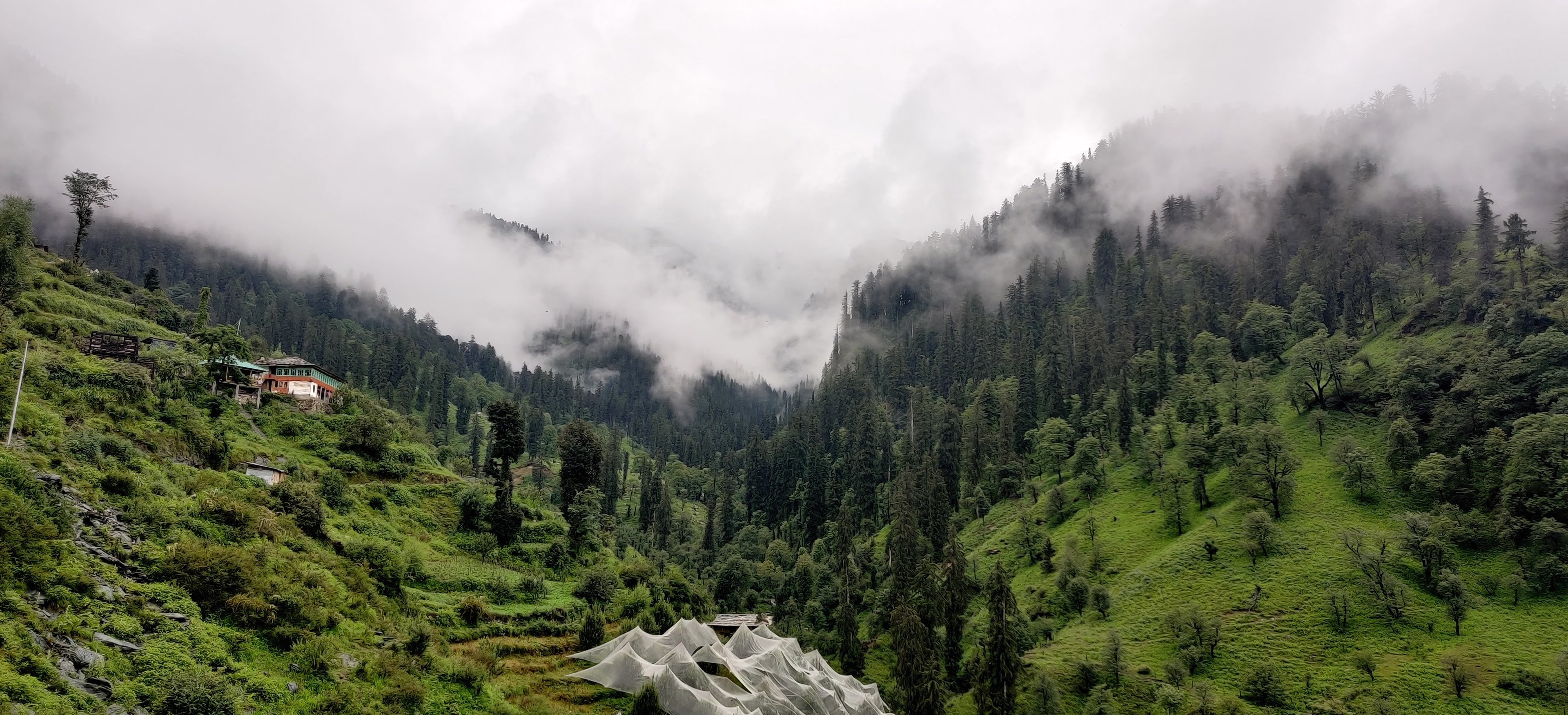 Jibhi in March - spring season in Jibhi Valley