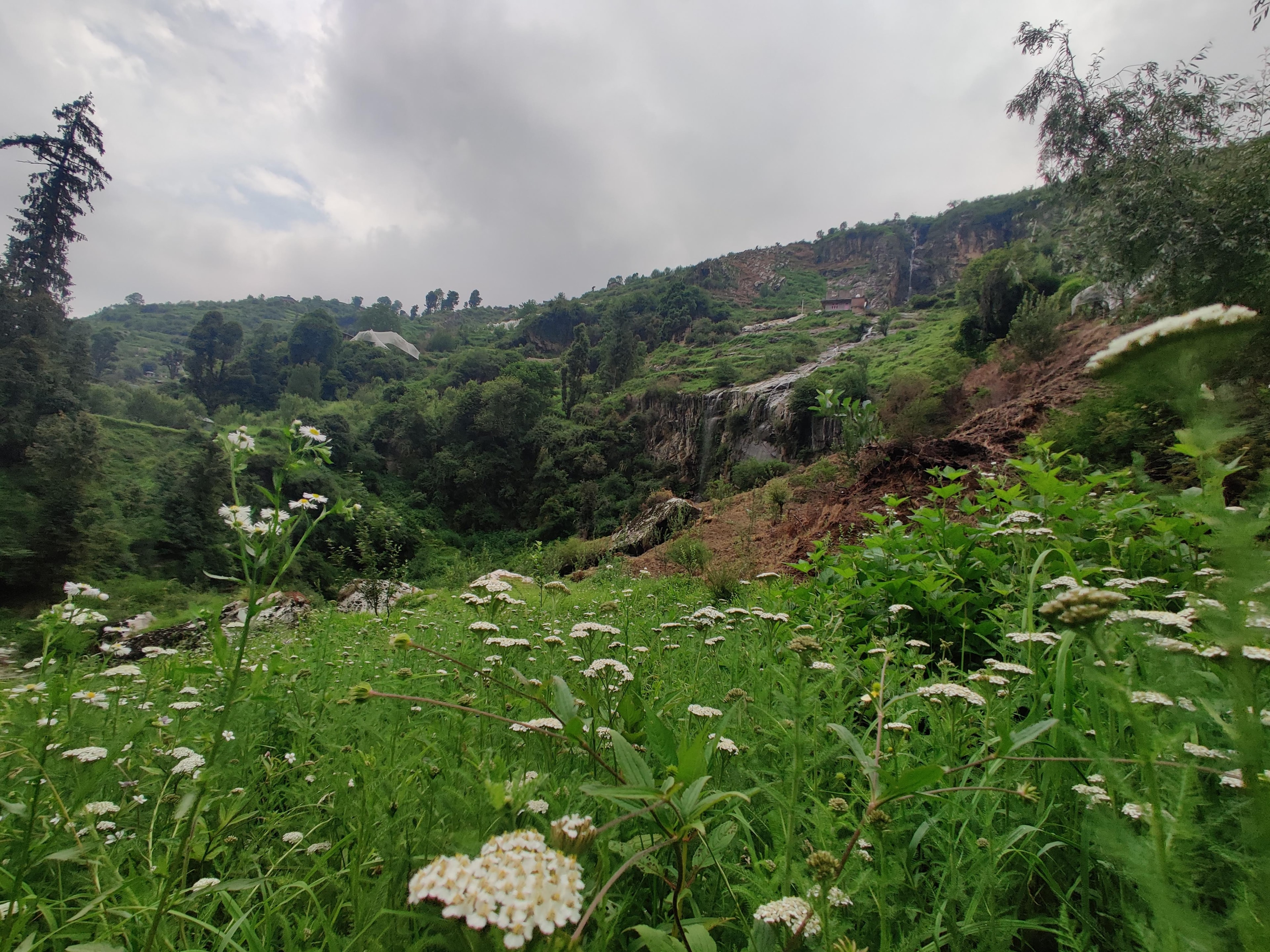 Jibhi in July - monsoon season in Jibhi Valley
