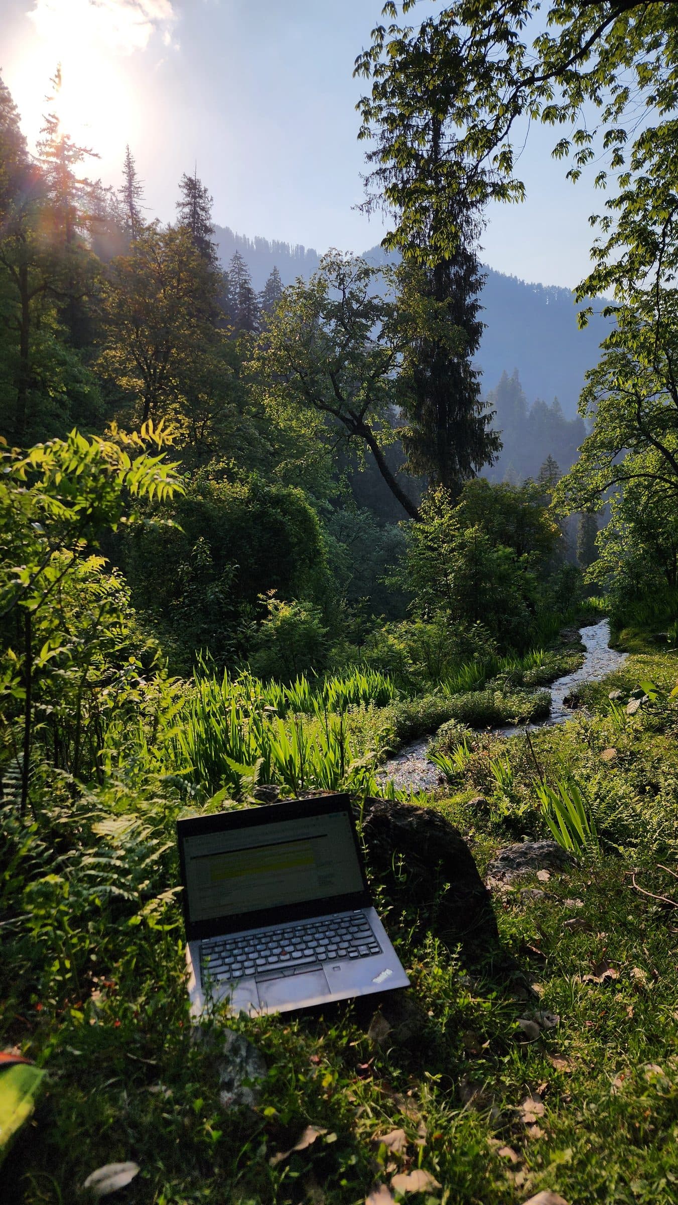 A laptop sits beside a serene stream in the lush green forest of Jibhi Valley, Himachal Pradesh.