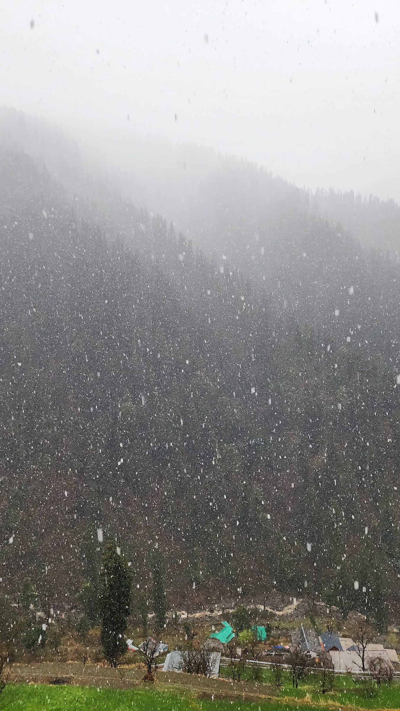 A charming traditional house with blue shutters sits amidst a vibrant green hillside in Shoja village, Jibhi Valley, Himachal Pradesh.