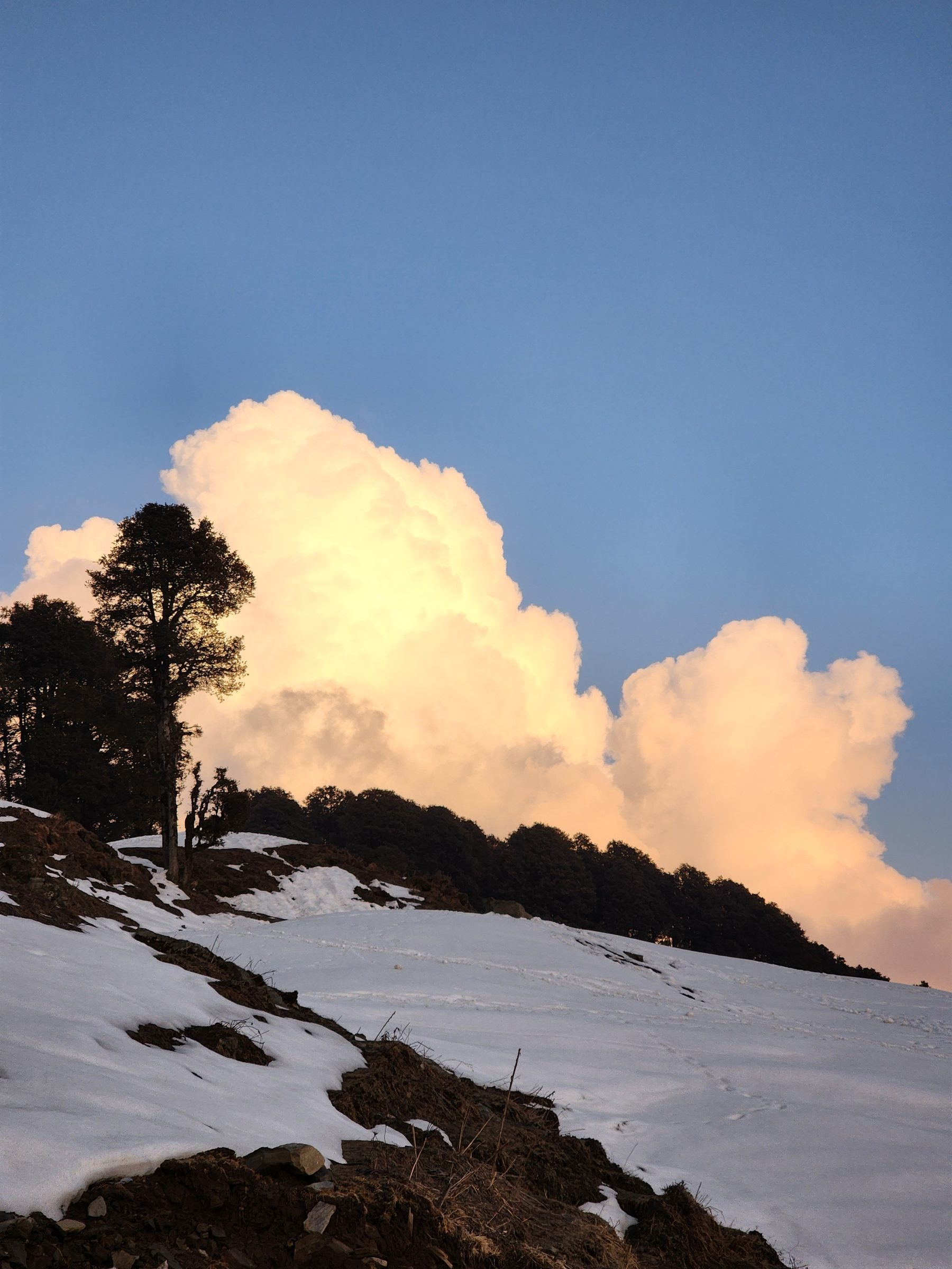 Current Jibhi weather open weather 10 day forecast